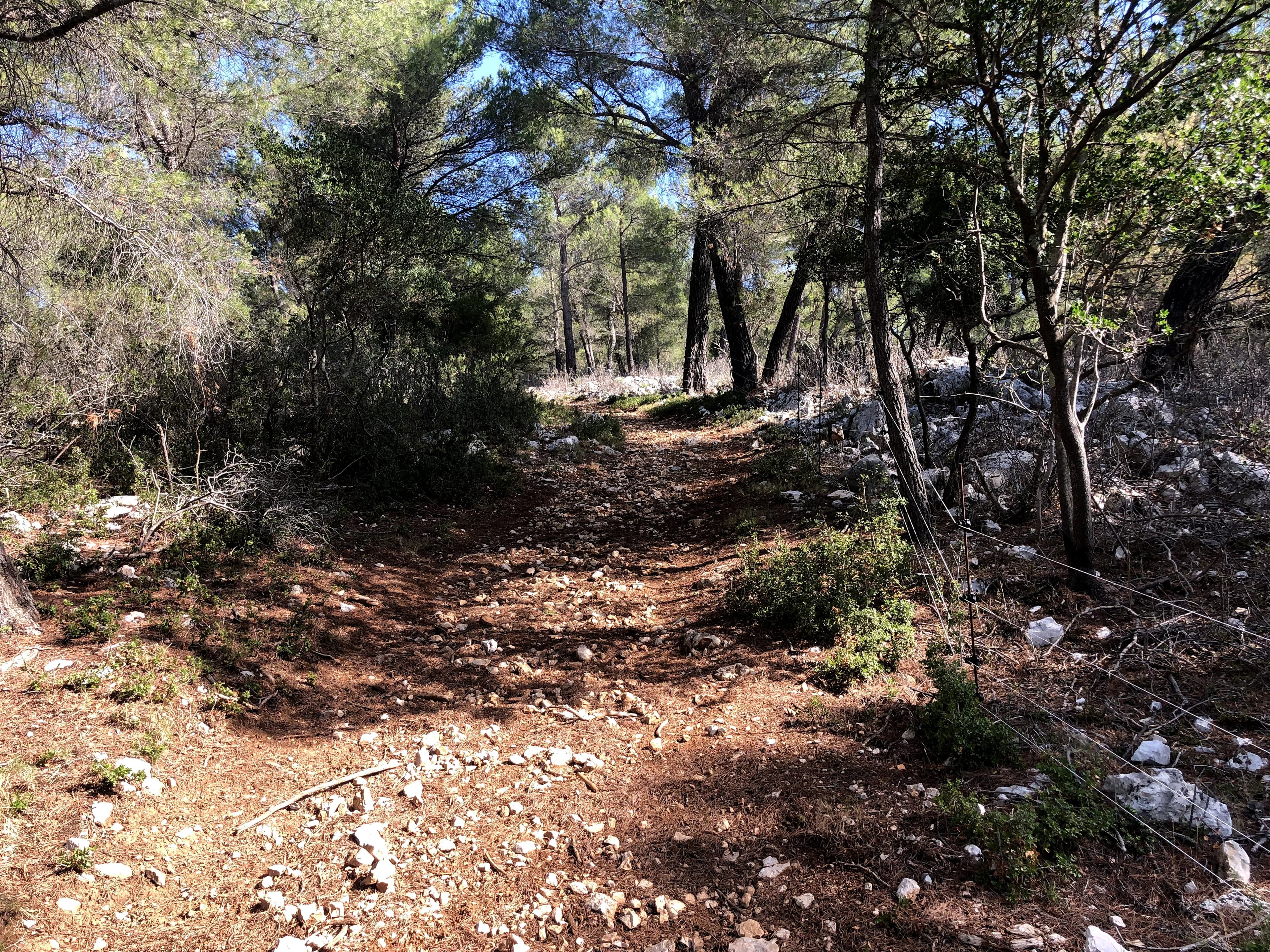 Forêt - 4.2 ha - Cuges-les-Pins