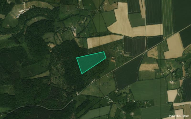 Forêt - 5.3 ha - Livarot-Pays-d'Auge