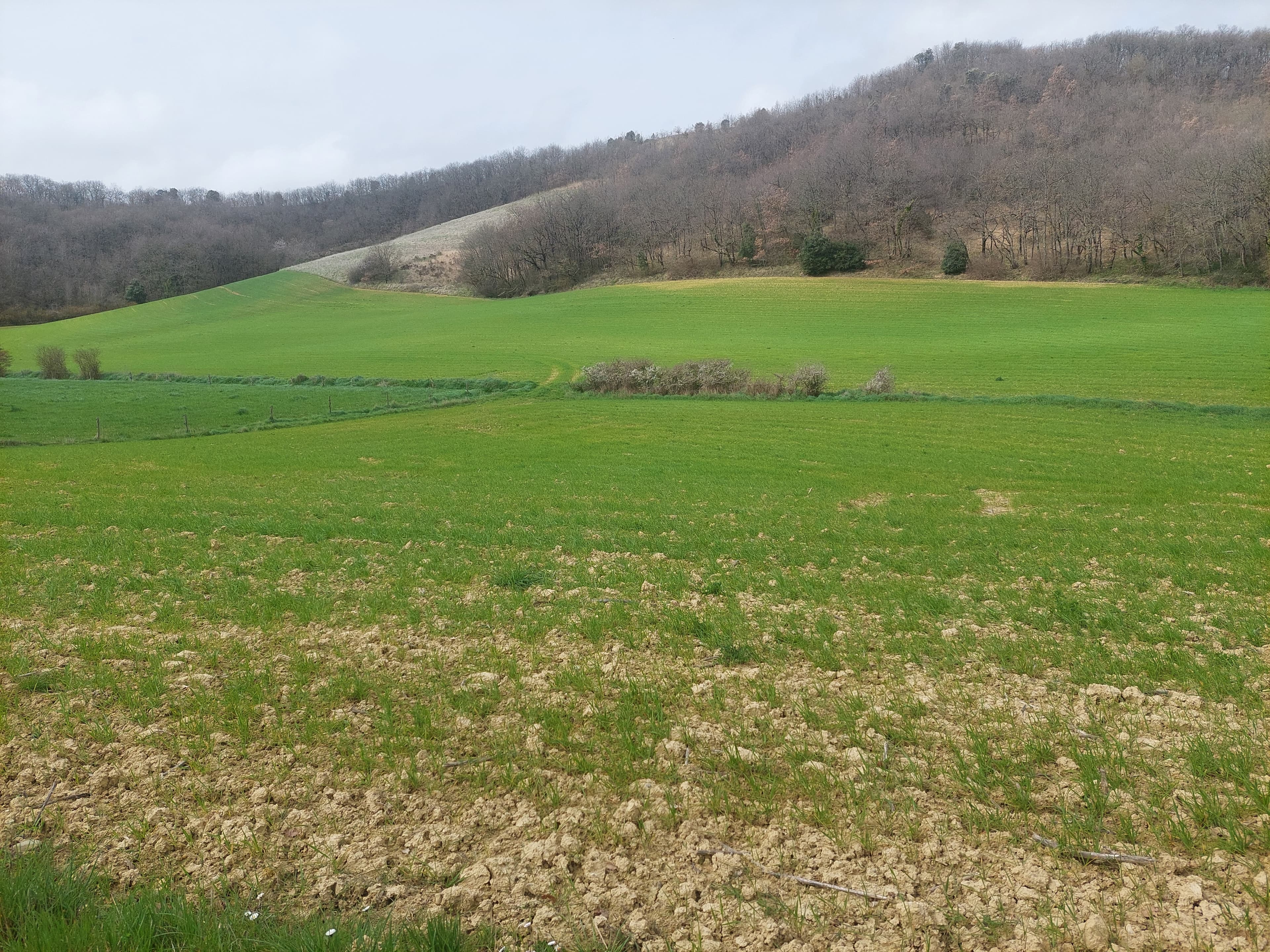 Terres agricoles - 41.3 ha - LD Cardan - Image 6