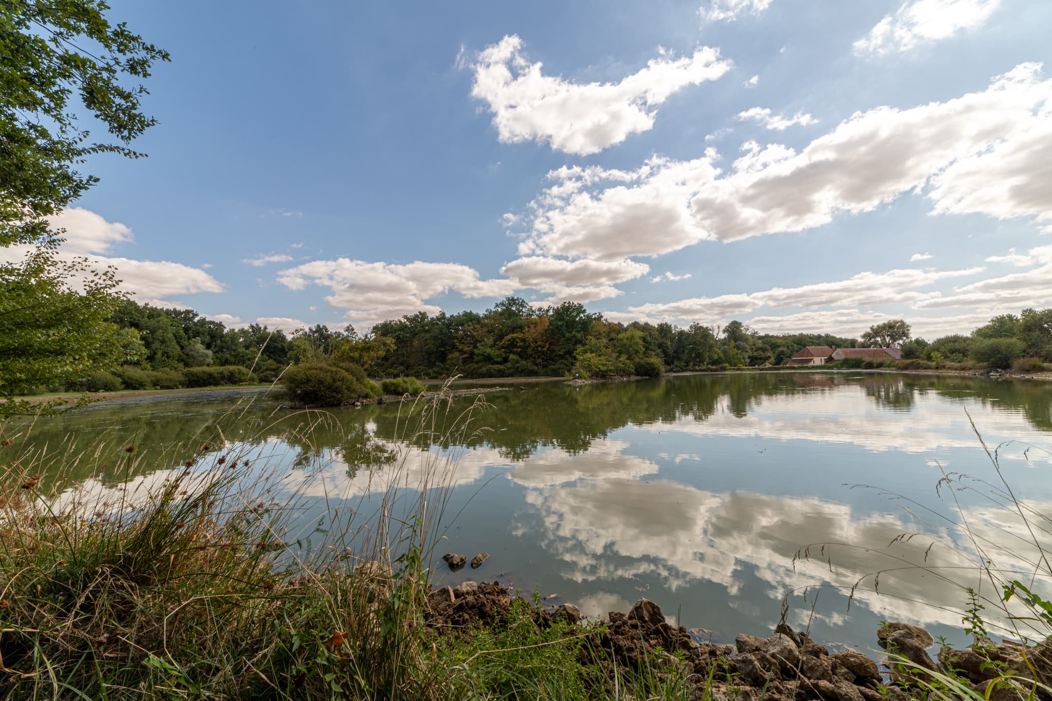 Forêt - 58.6 ha - Le Moulin Girard - Image 2