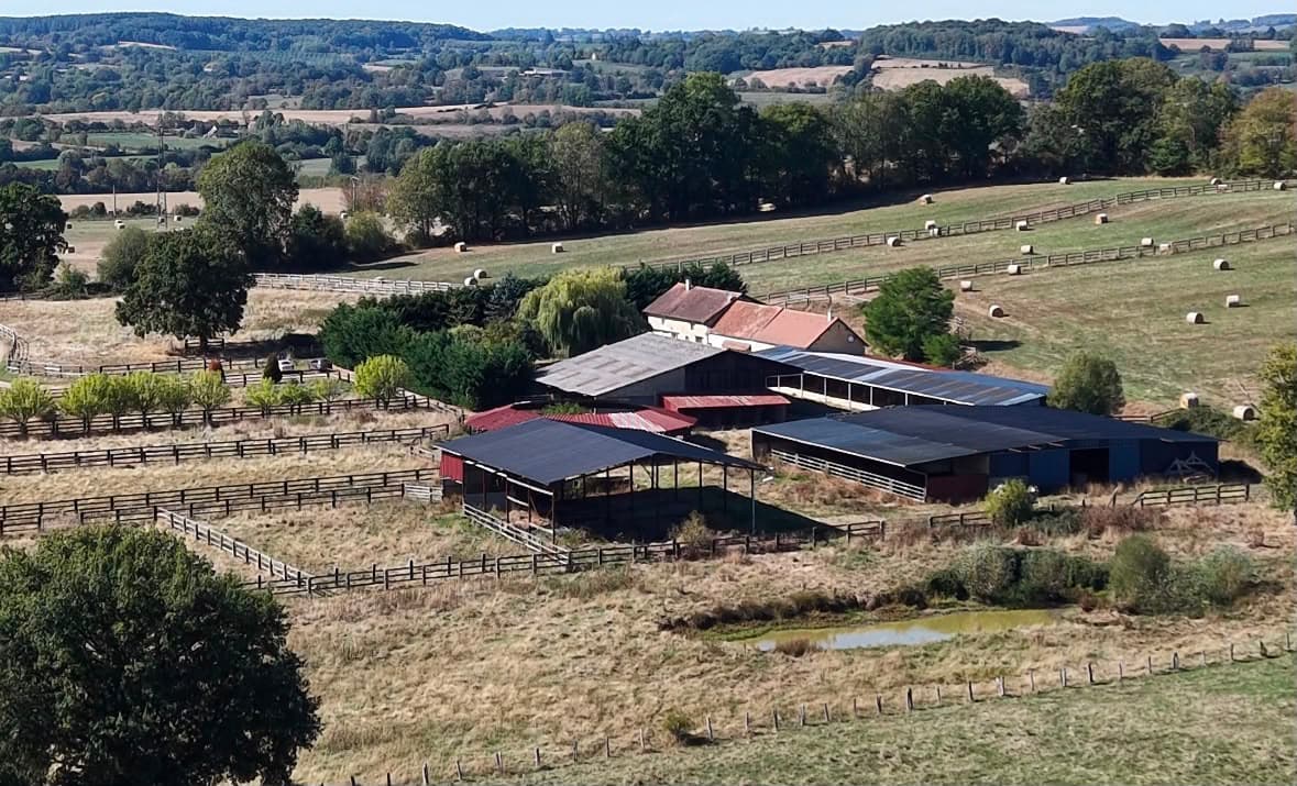 Propriété équestre - 34 boxes - 19.7 ha - Mortagne-au-Perche