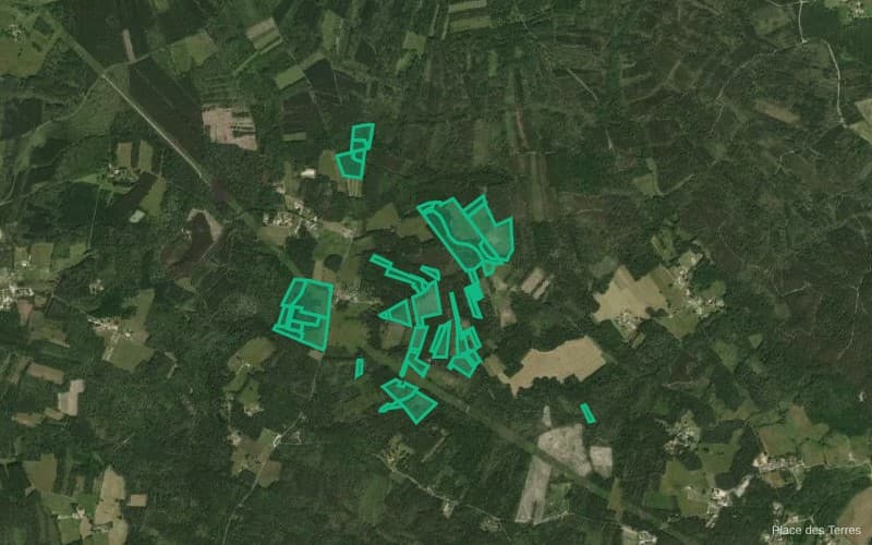 Forêt - 46.5 ha - Chamadelle - Image 5