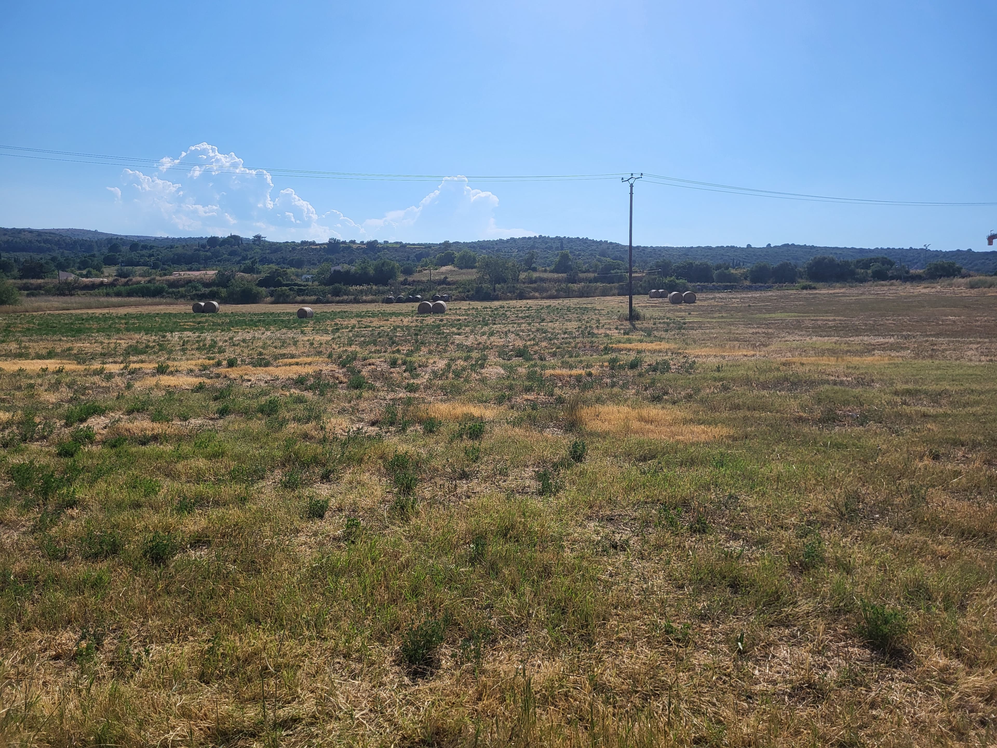 Terres agricoles - 3.8 ha - Thuir - Image 8