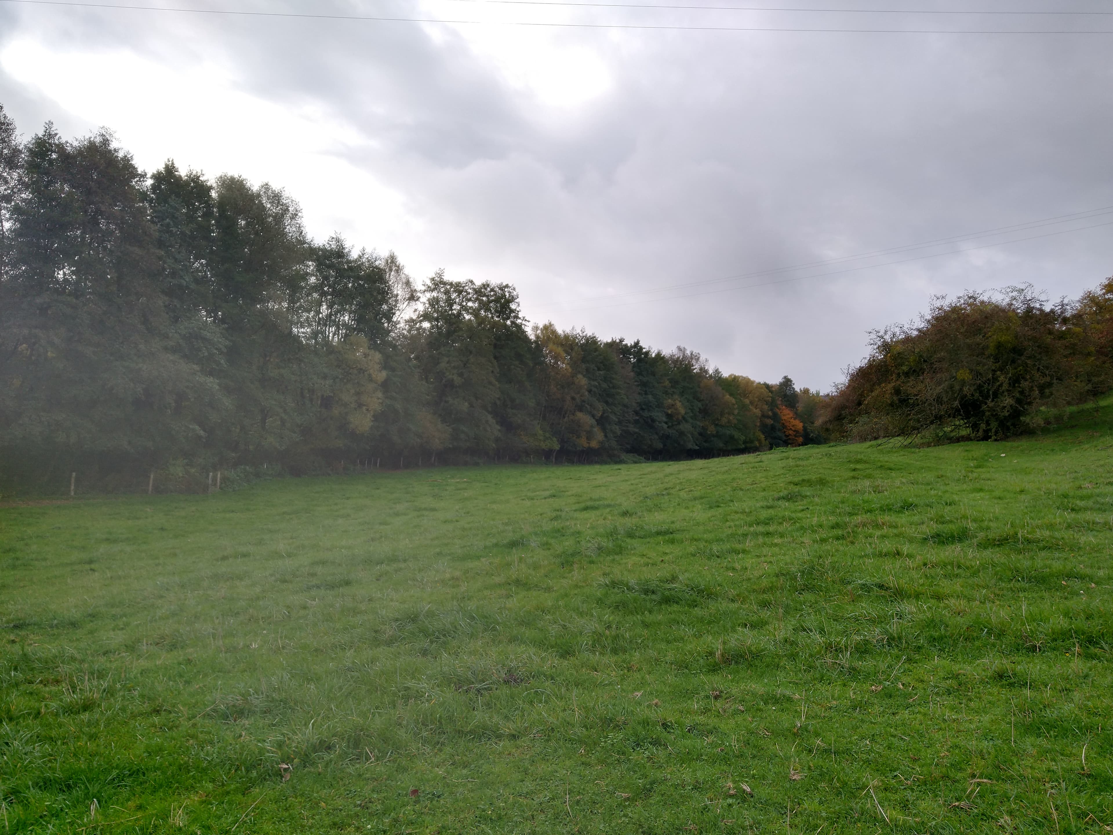 Terres agricoles - 20.6 ha - Chatel-Chéhéry - Image 8
