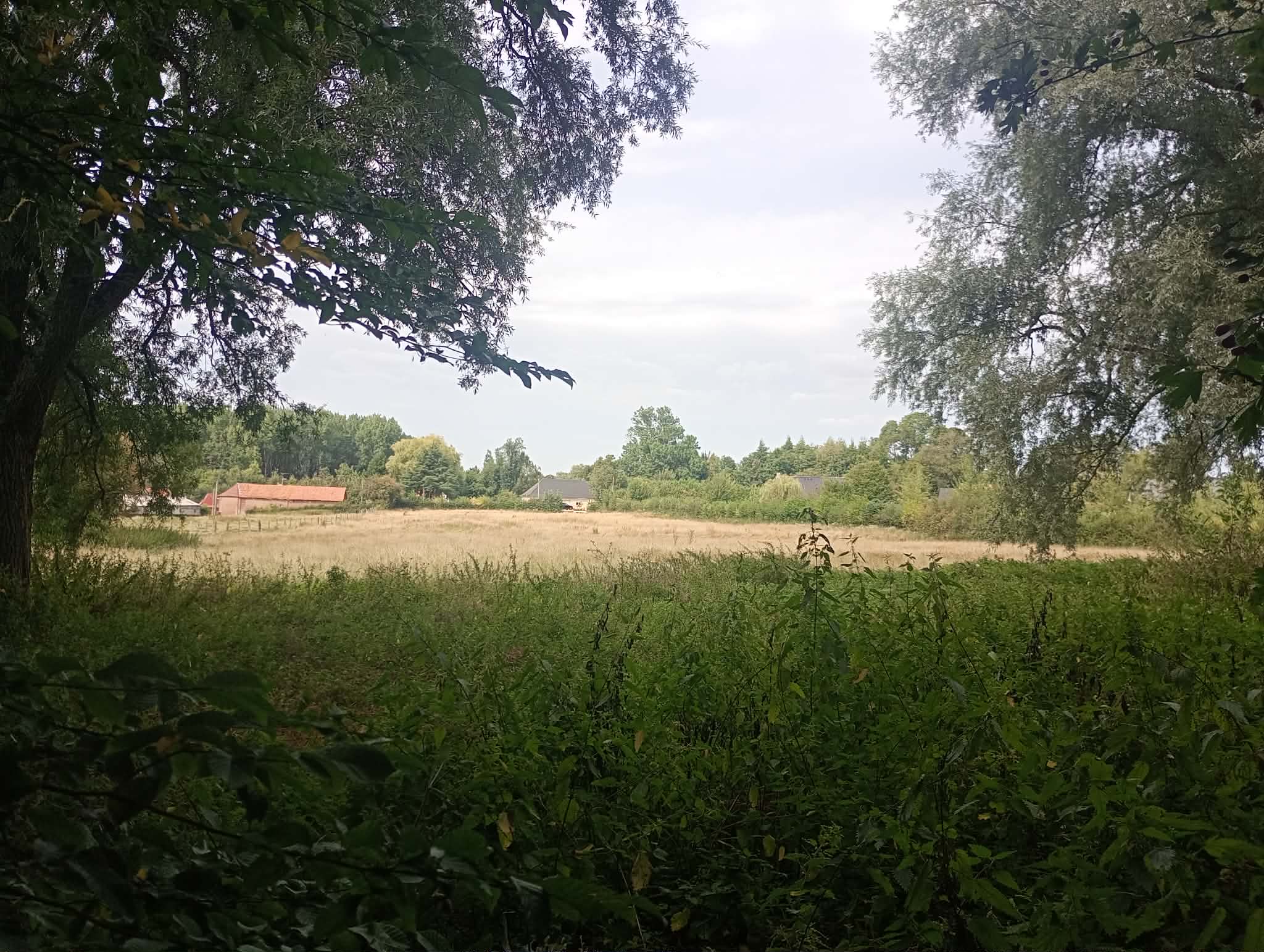 Terres agricoles - 1.3 ha - Rue du Moulin