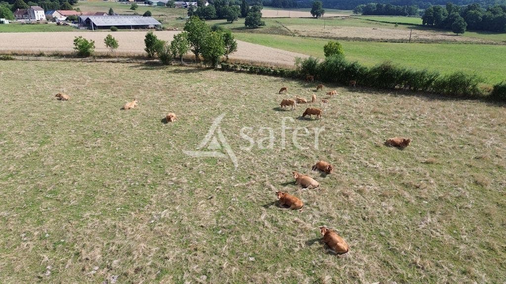 Terres agricoles — Bovins mixtes - 80.0 ha - Meuzac · 83 DPB inclus - Image 3