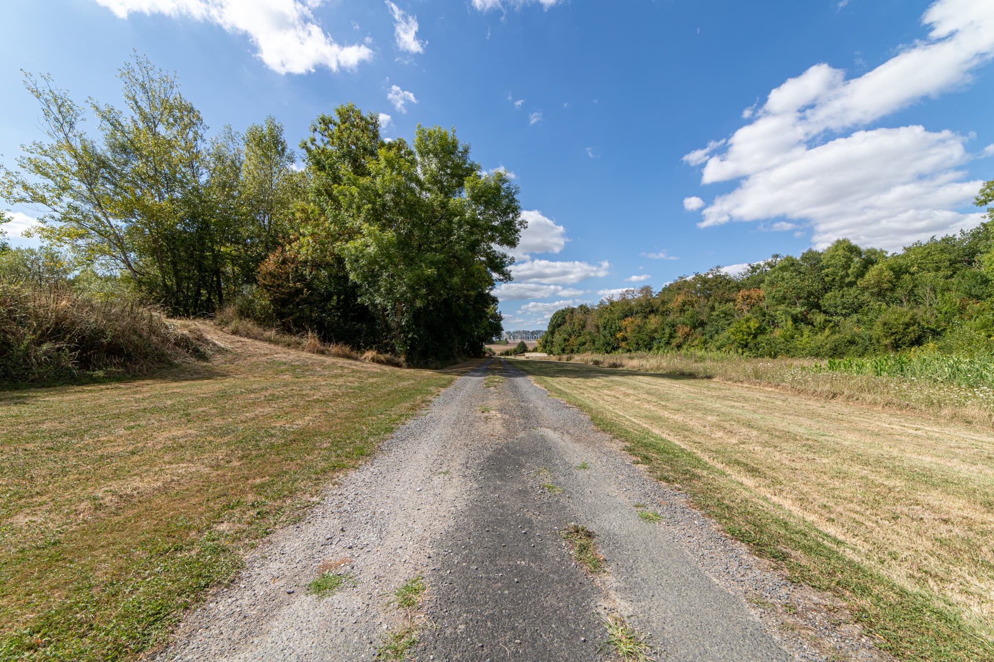 Forêt - 58.6 ha - Le Moulin Girard - Image 7