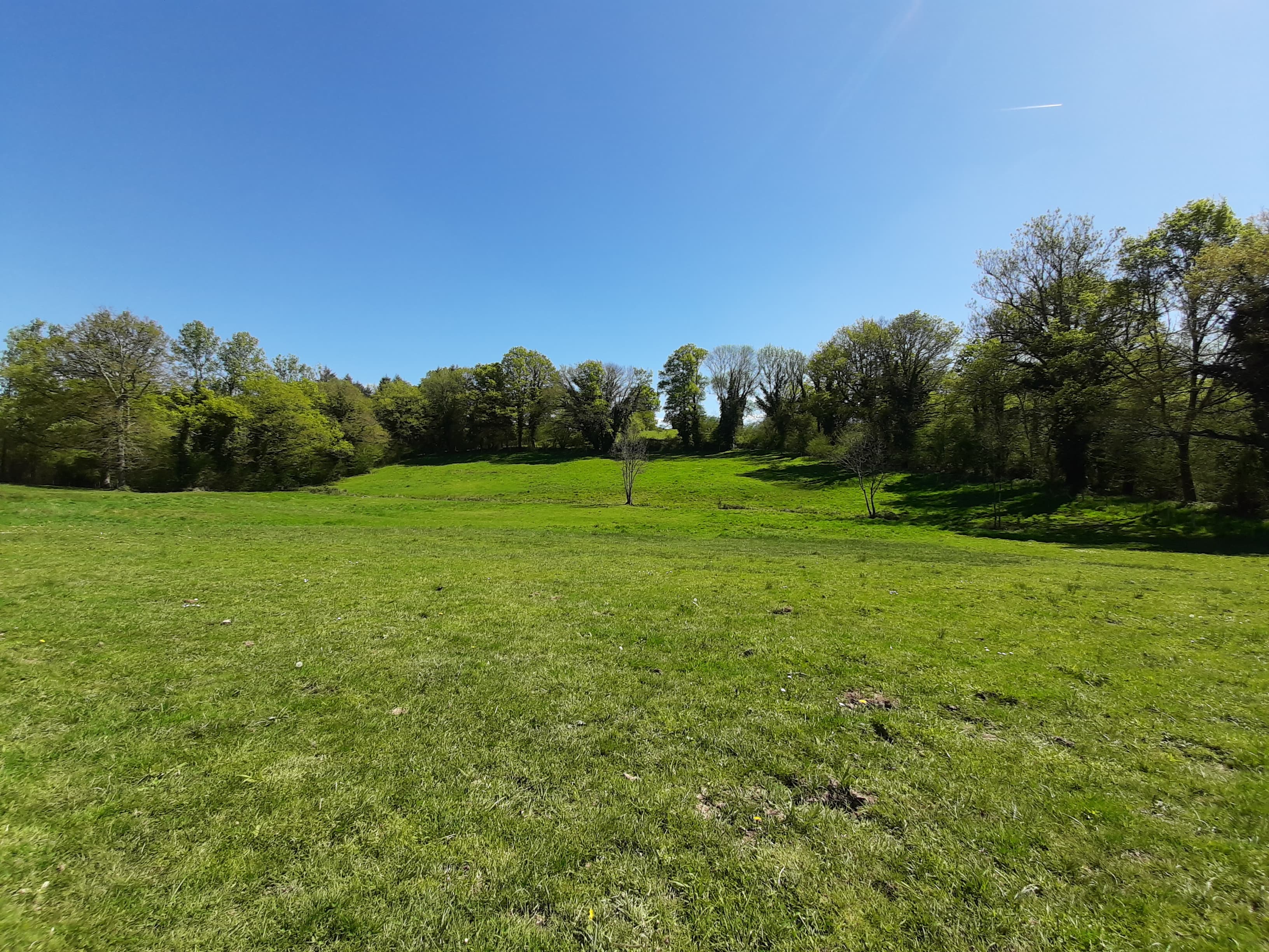 Terres agricoles — Equins - 6.3 ha - Chaillac-sur-Vienne - Image 4