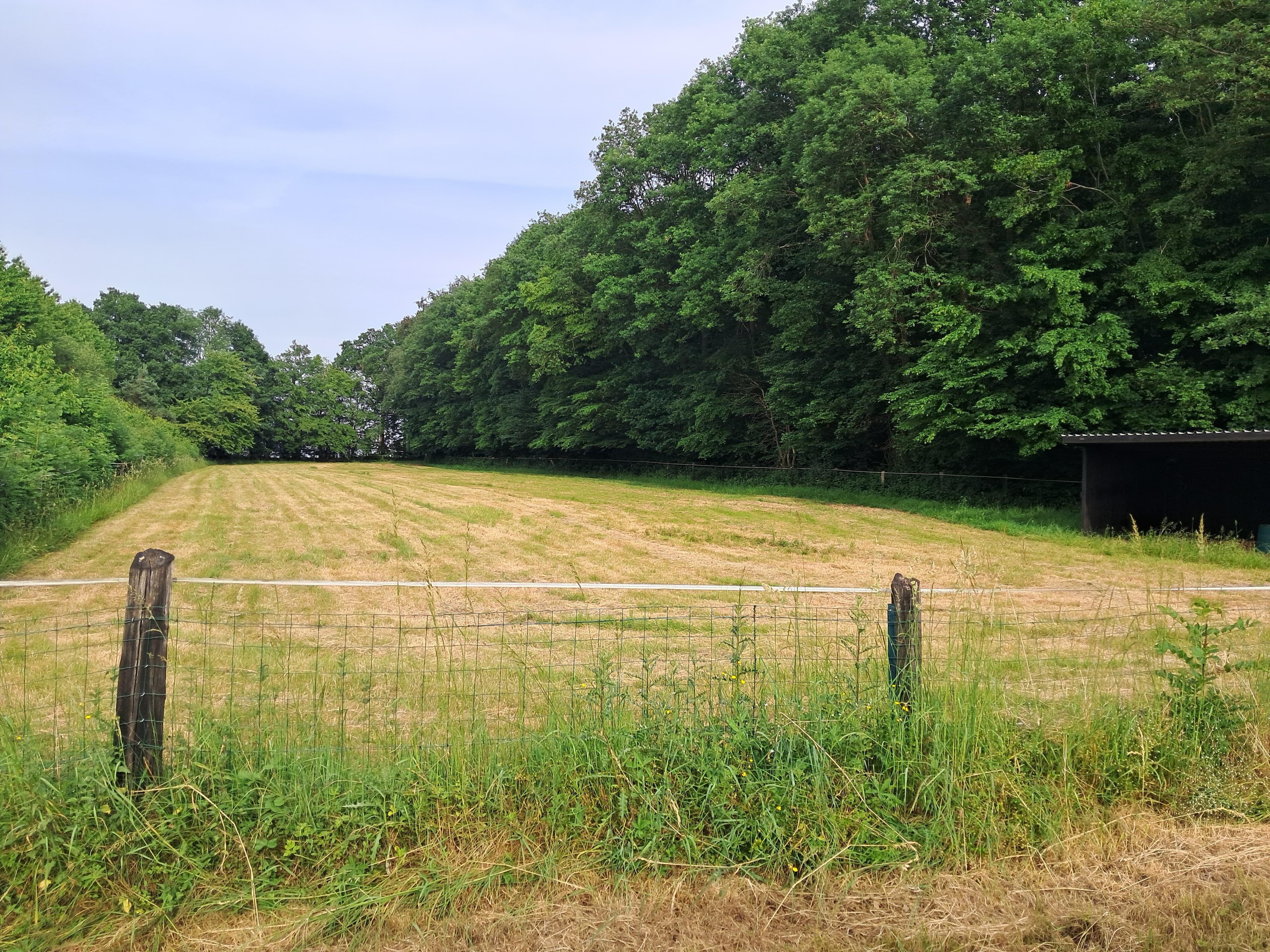 Terres agricoles — Prairies et fourrages - 0.4 ha - Mesnils-sur-Iton