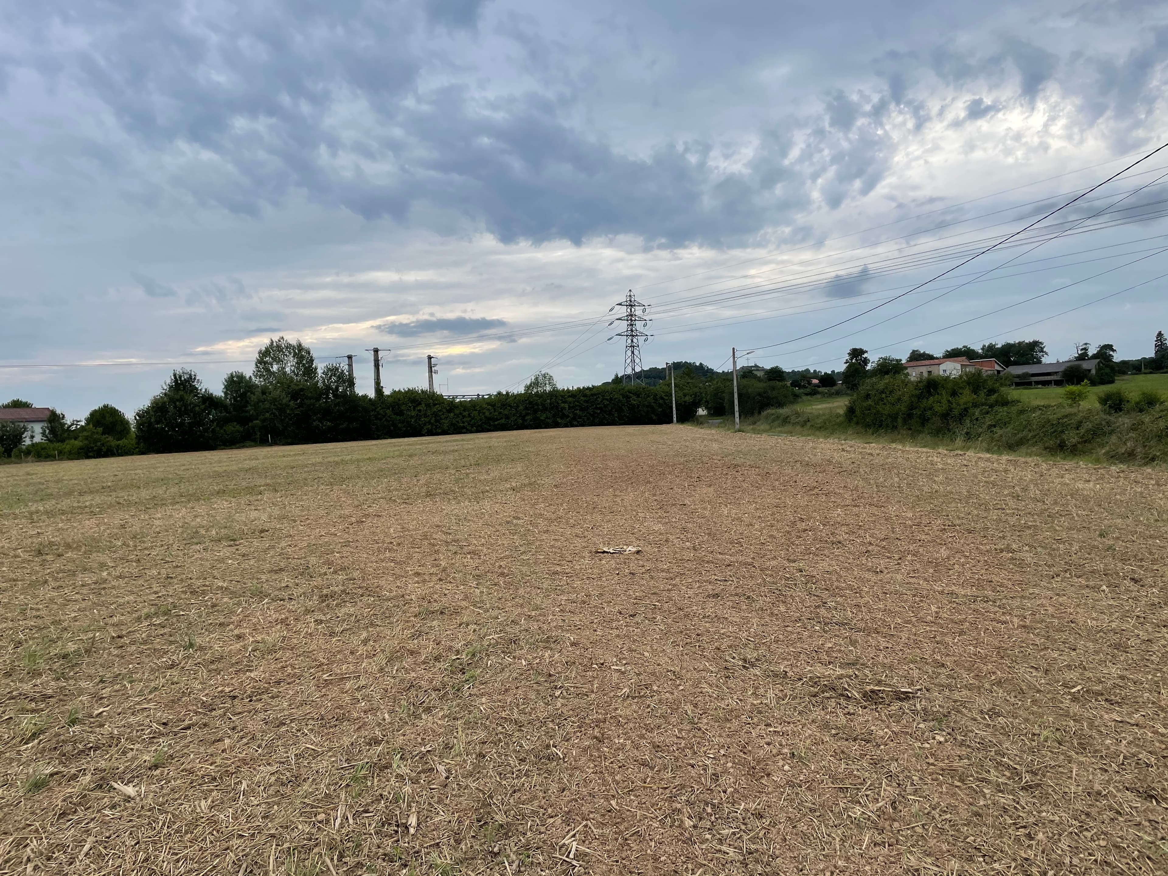 Terres agricoles - 6.7 ha - Réalmont - Image 4