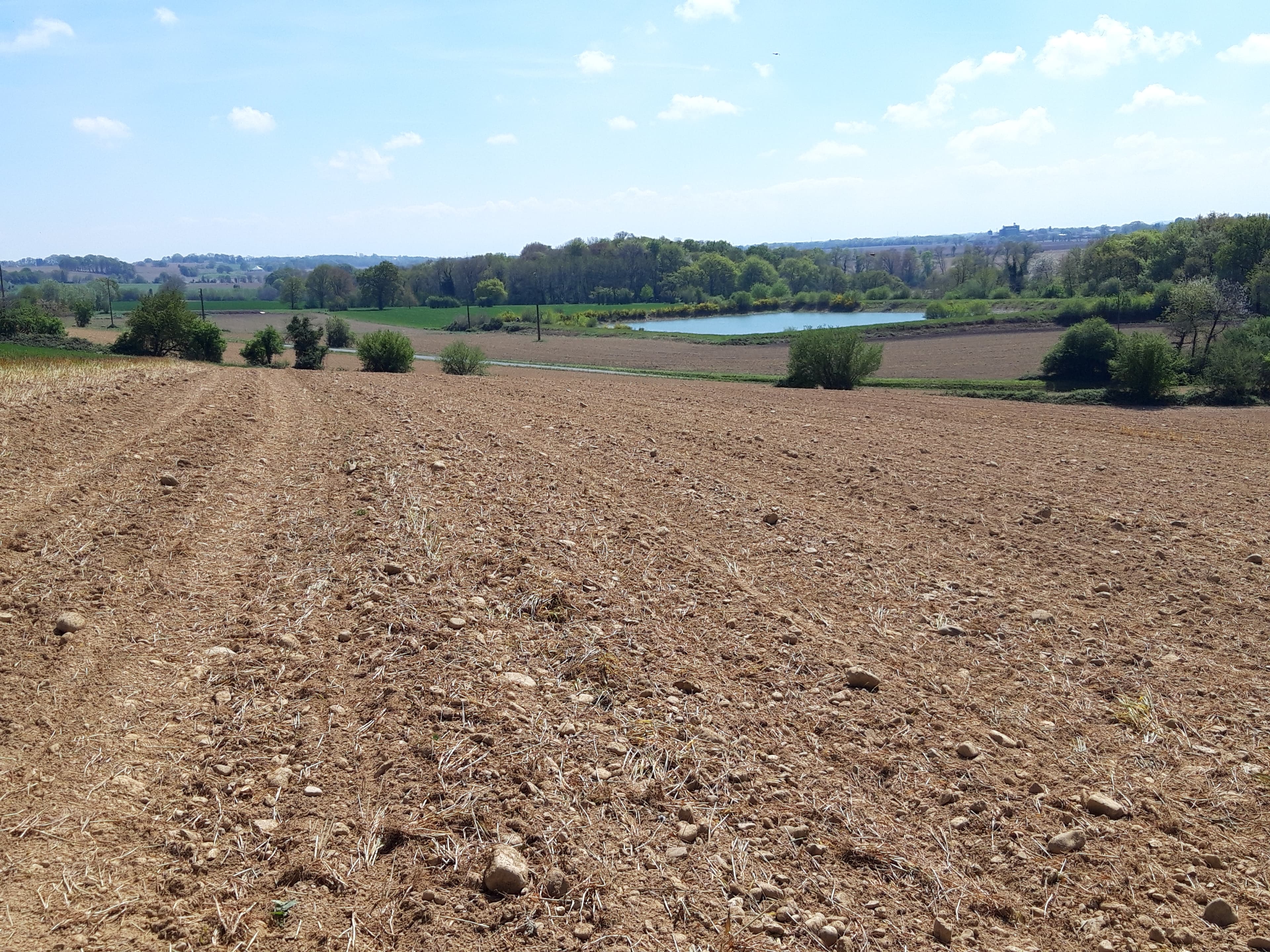 Terres de polyculture-élevage - 14.9 ha - Coslédaà-Lube-Boast - Image 2