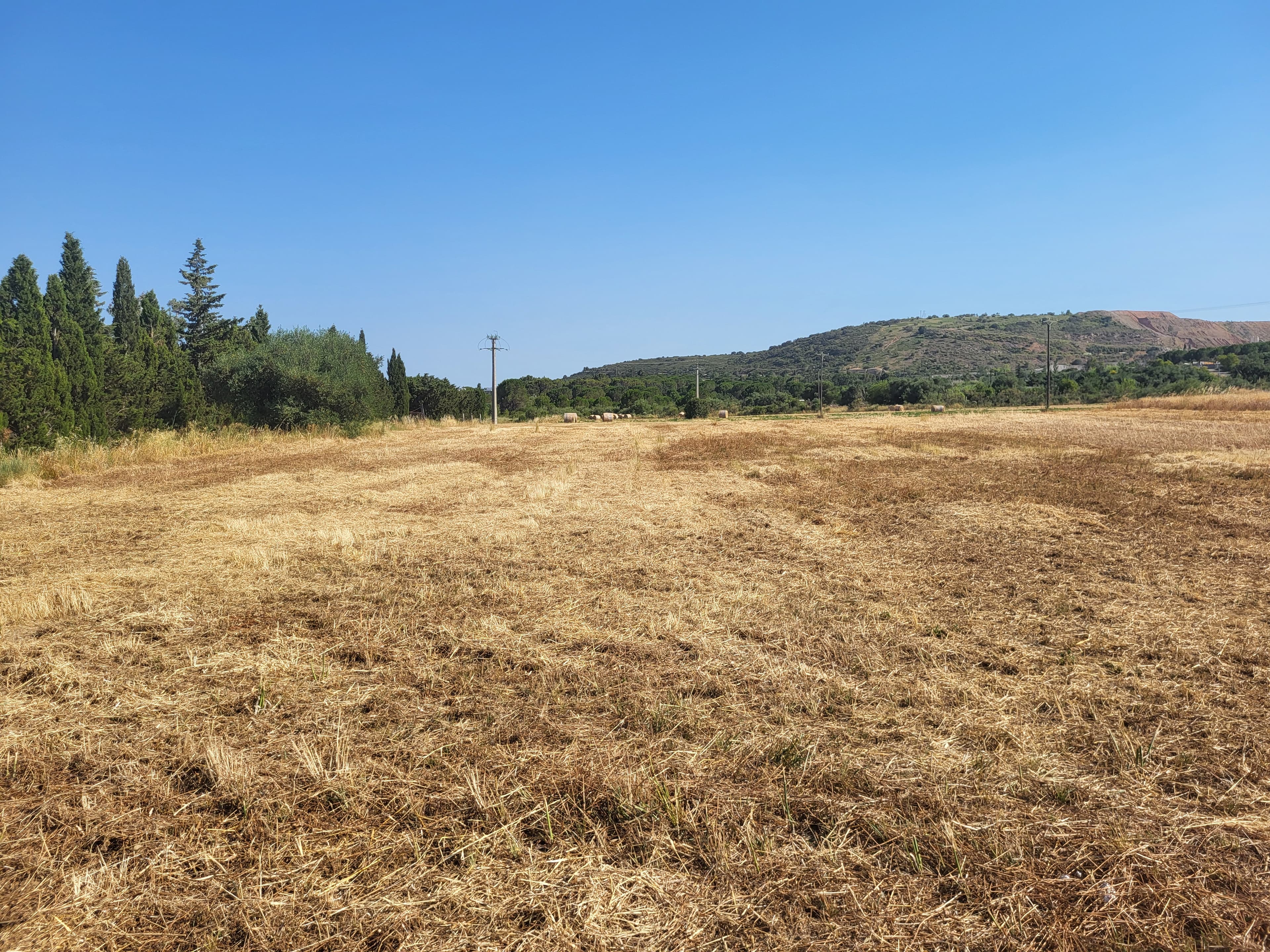 Terres agricoles - 3.8 ha - Thuir - Image 7