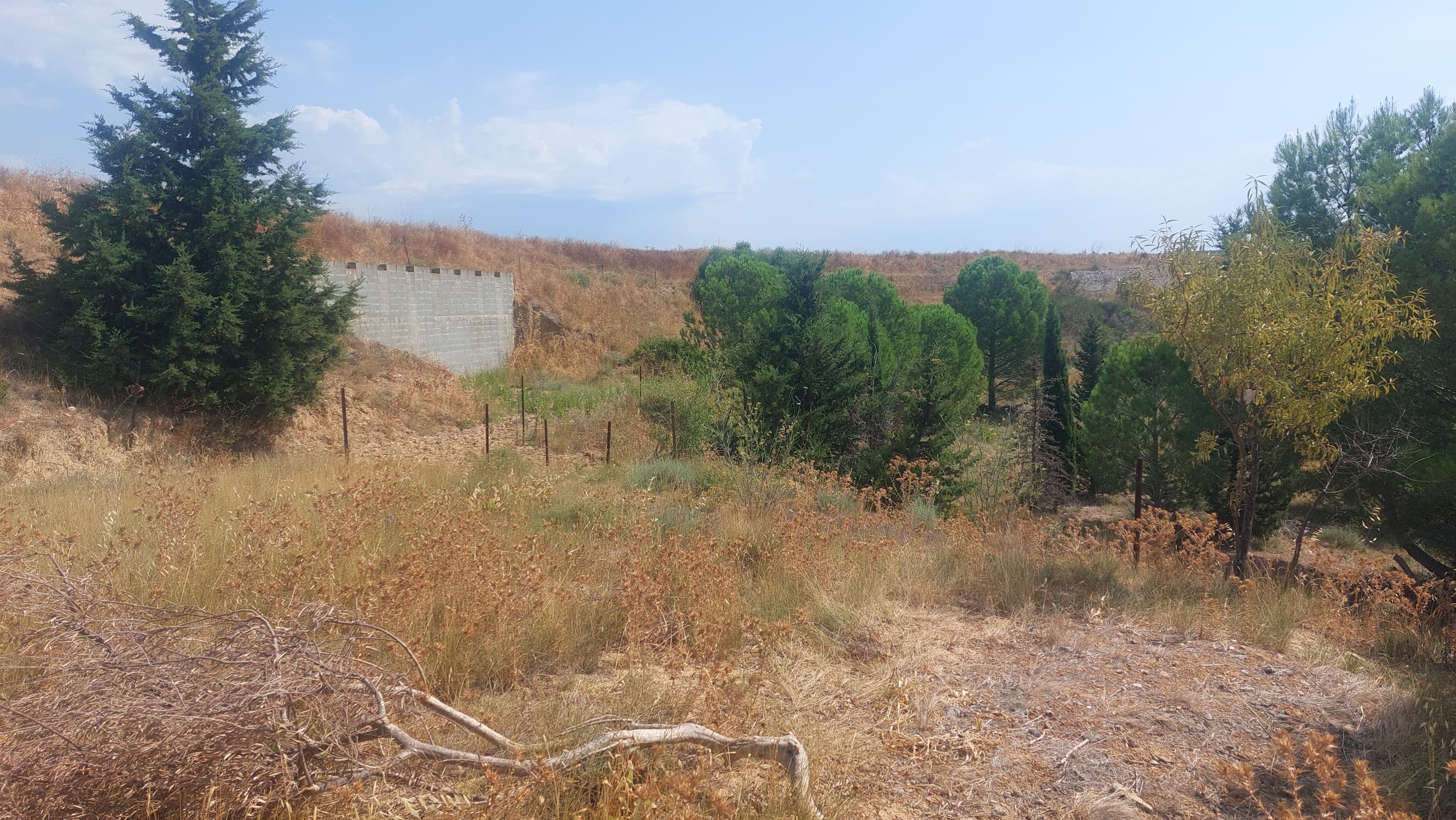 Prairies d'élevage - 1.8 ha - Paraza