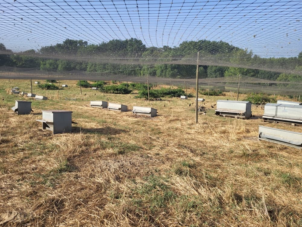 Terres de polyculture-élevage - 23.9 ha - Seyches