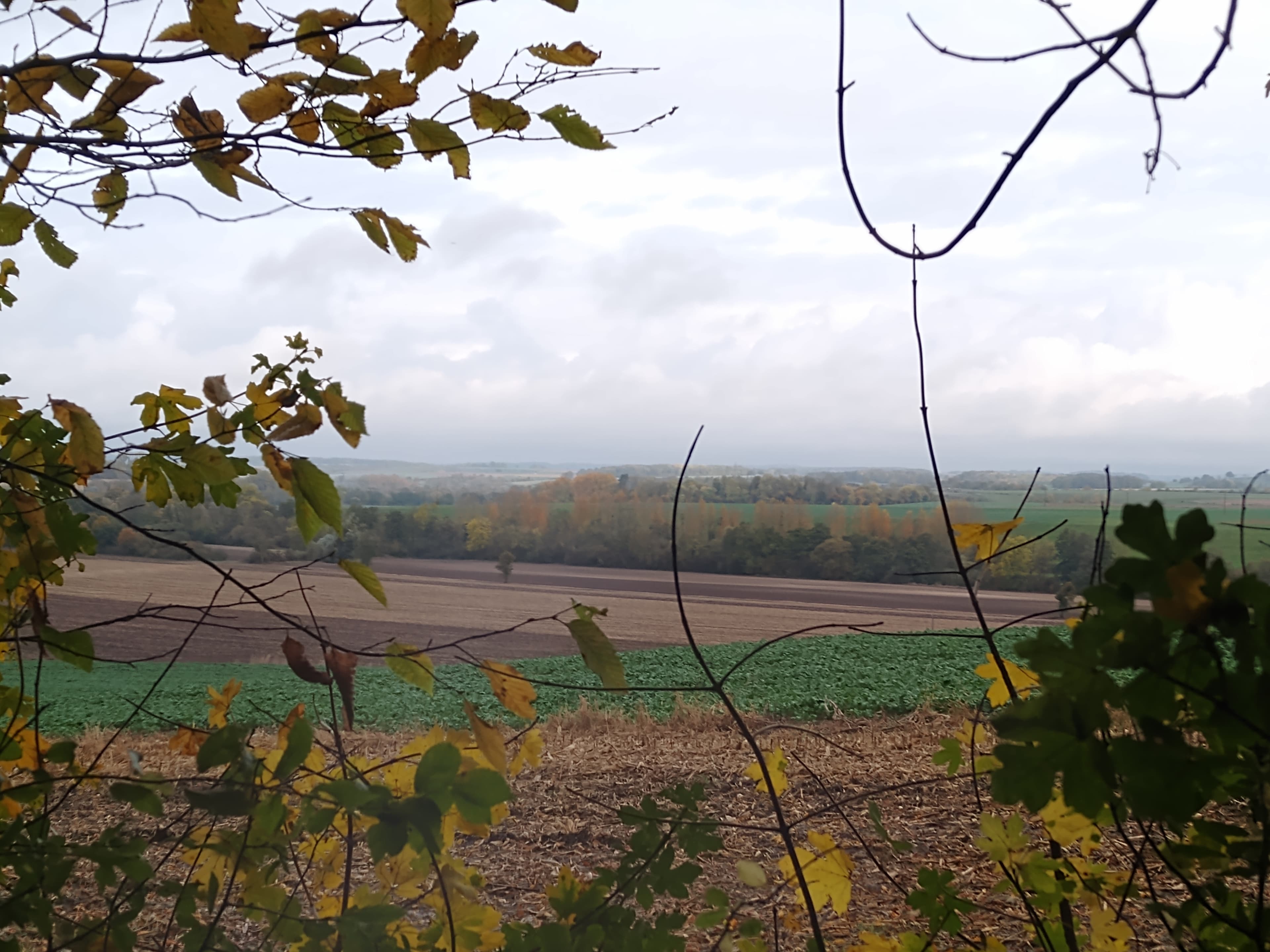 Terres agricoles - 20.6 ha - Chatel-Chéhéry - Image 6