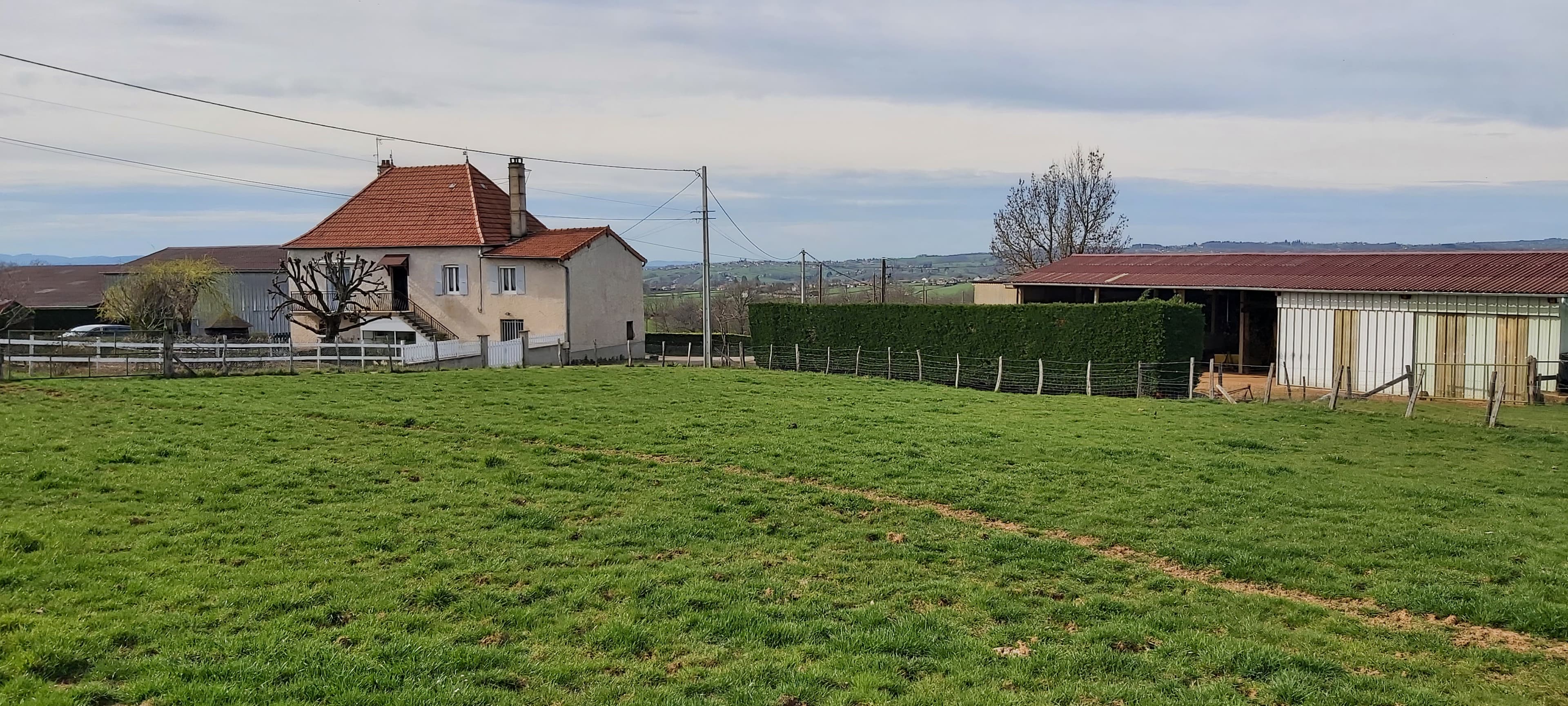 Terres agricoles — Polyculture-elevage - 0.6 ha - Chandon - Image 3