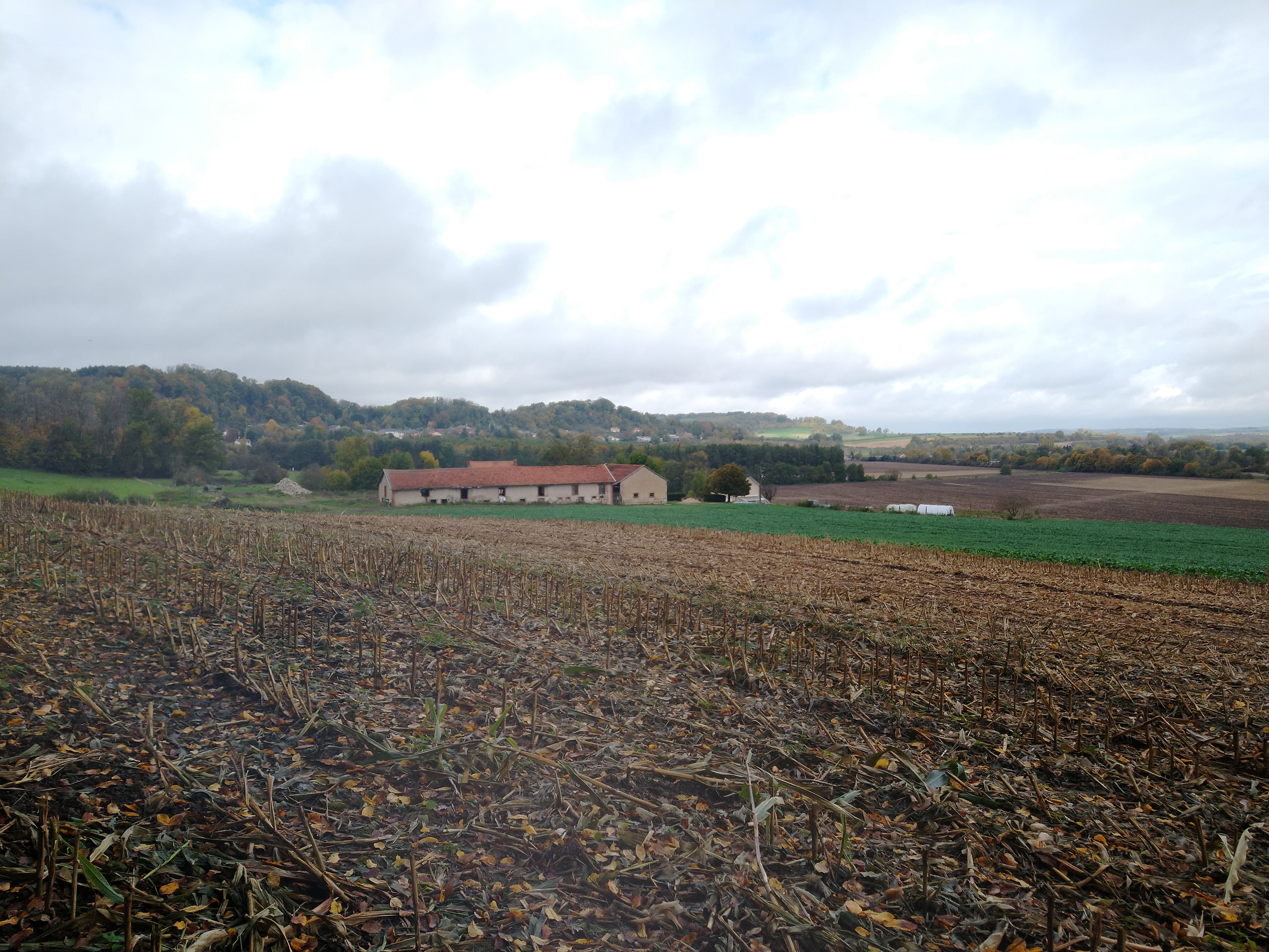 Terres agricoles - 20.6 ha - Chatel-Chéhéry - Image 5