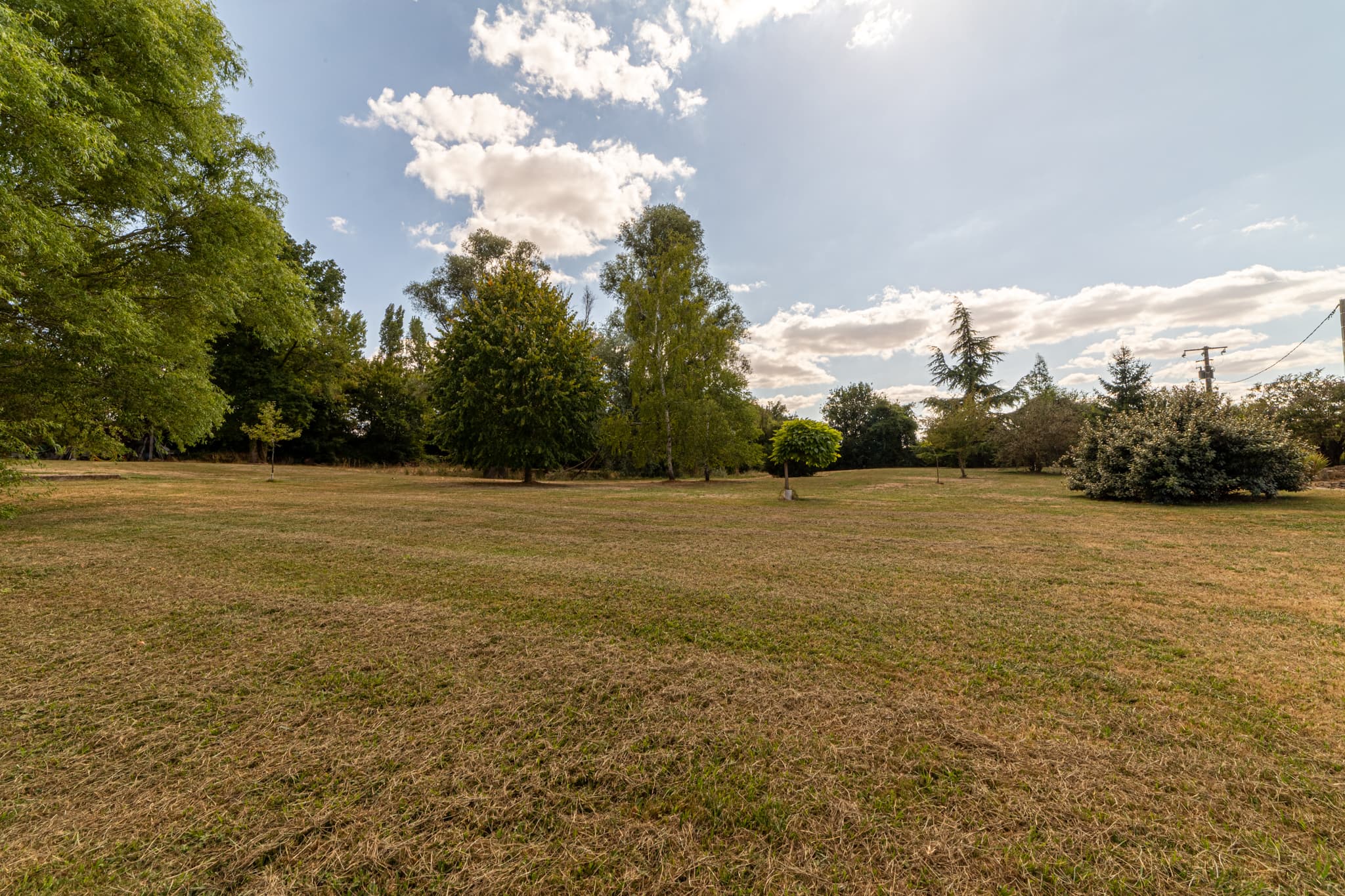 Forêt - 58.6 ha - Le Moulin Girard - Image 8