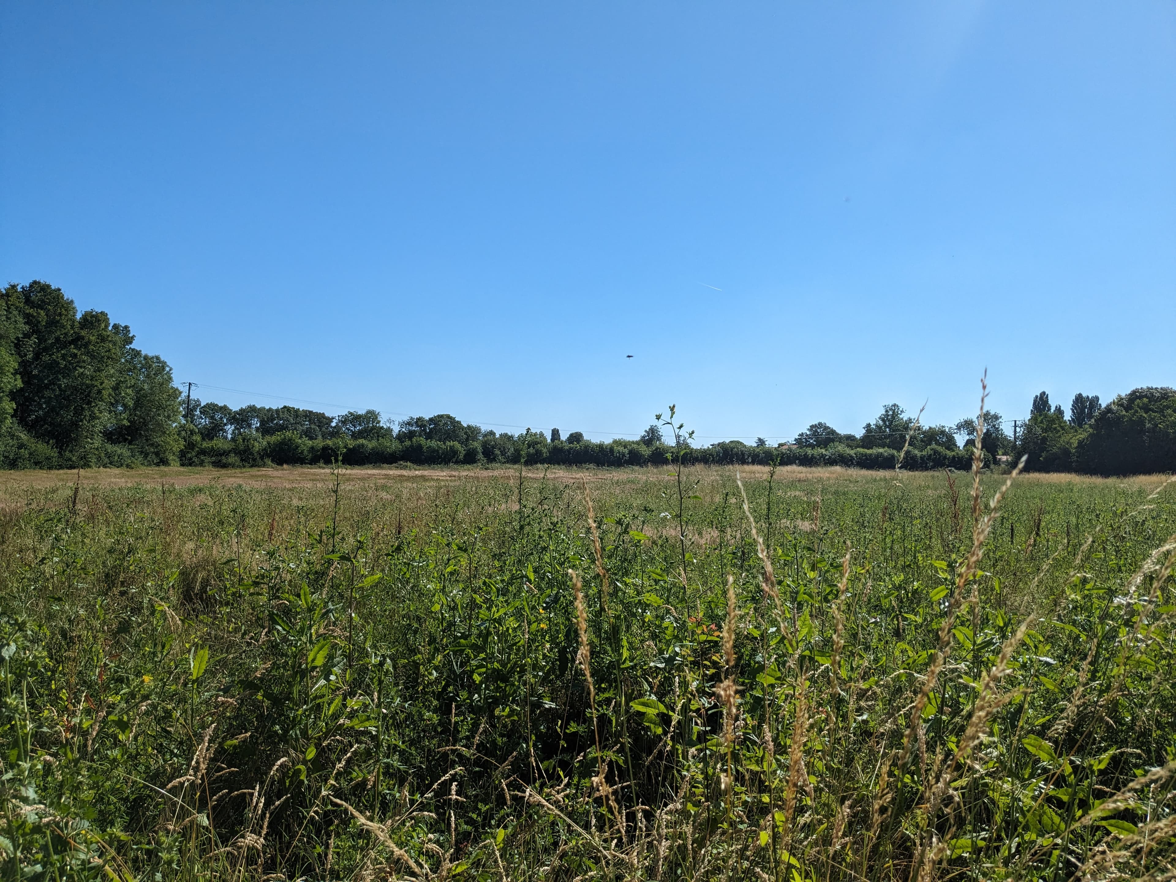 Terres agricoles - 8.2 ha - Rue de Saint-Medard - Image 2