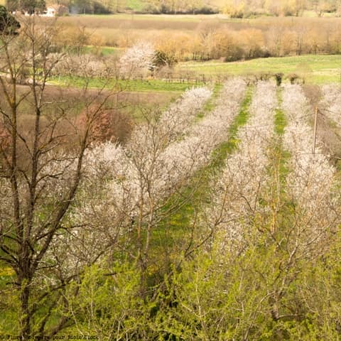 Terres agricoles - 18.2 ha - 47360 - Image 3