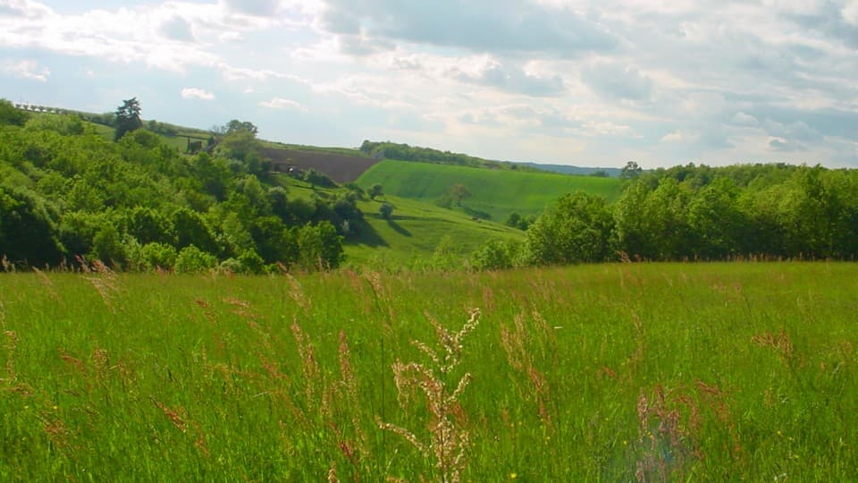 Terres agricoles - 26.3 ha - Durfort-Lacapelette