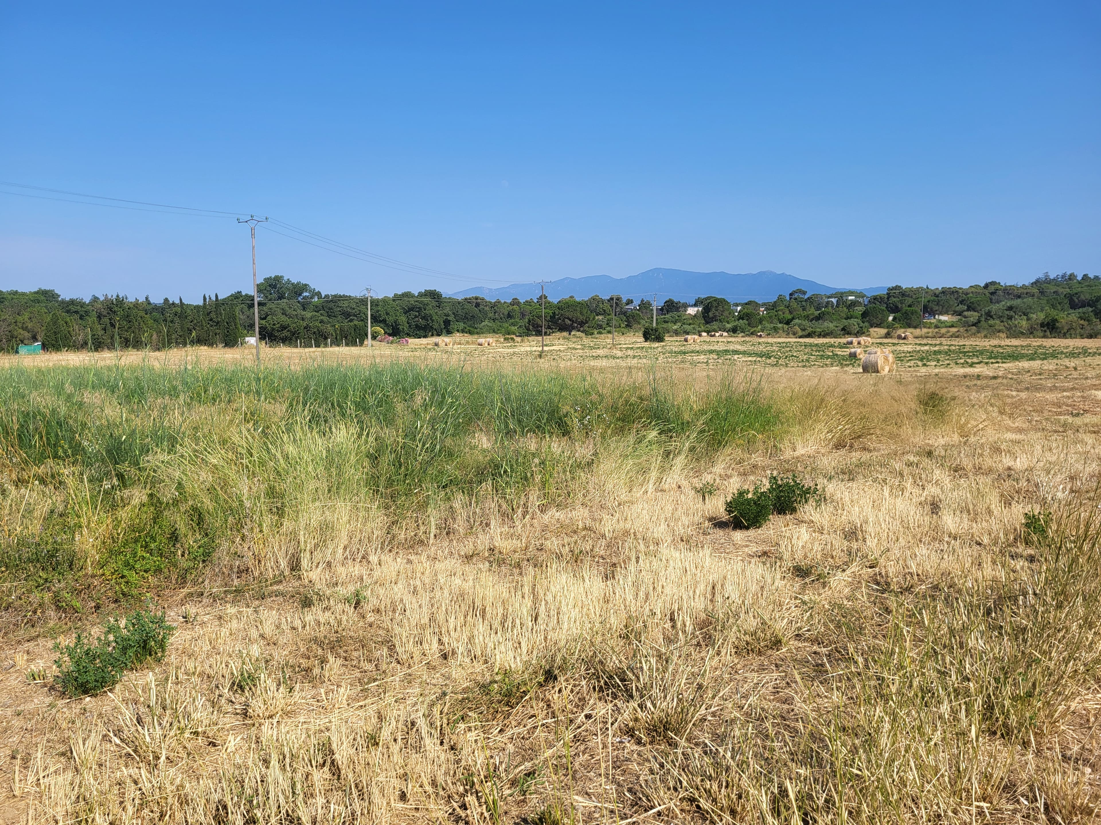 Terres agricoles - 3.8 ha - Thuir - Image 4