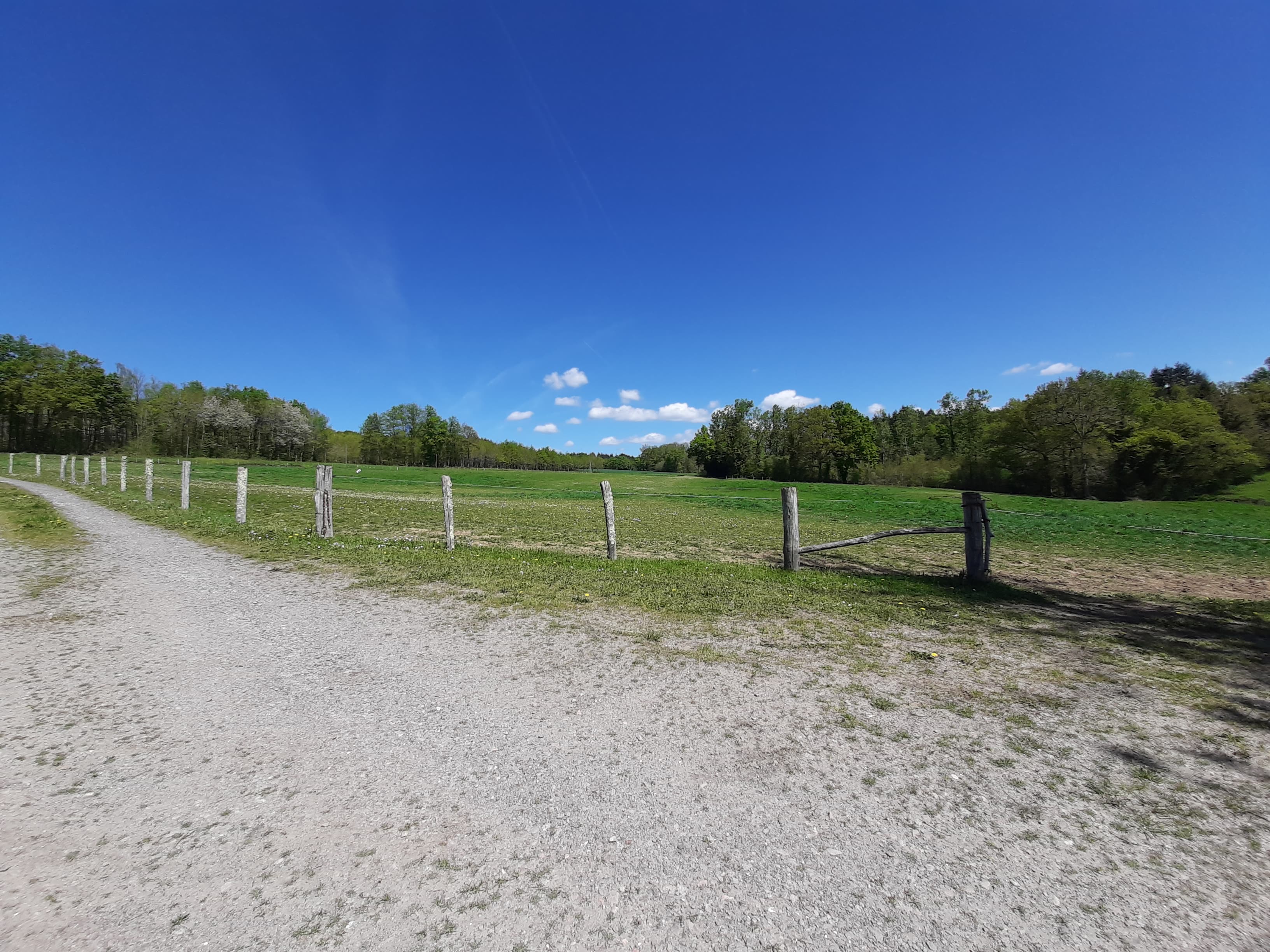 Terres agricoles — Equins - 6.3 ha - Chaillac-sur-Vienne