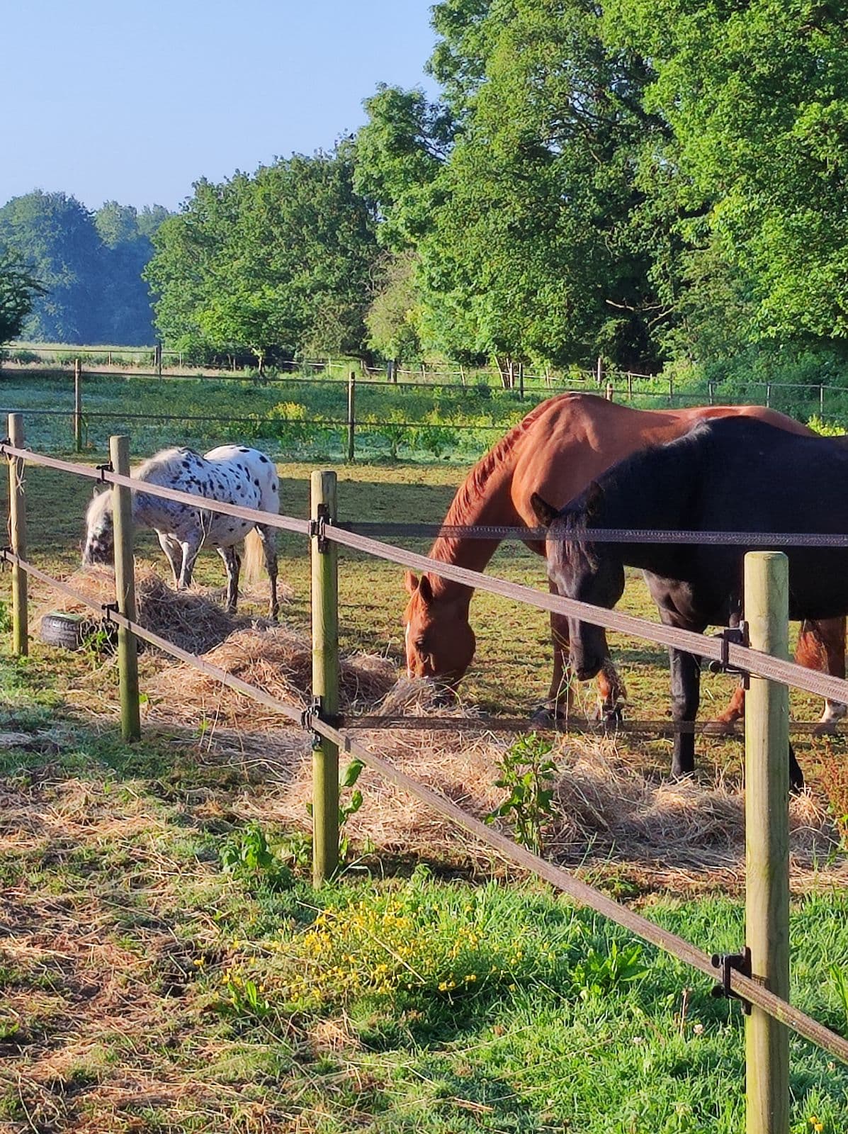 Fumier et compost - Crasville-la-Rocquefort