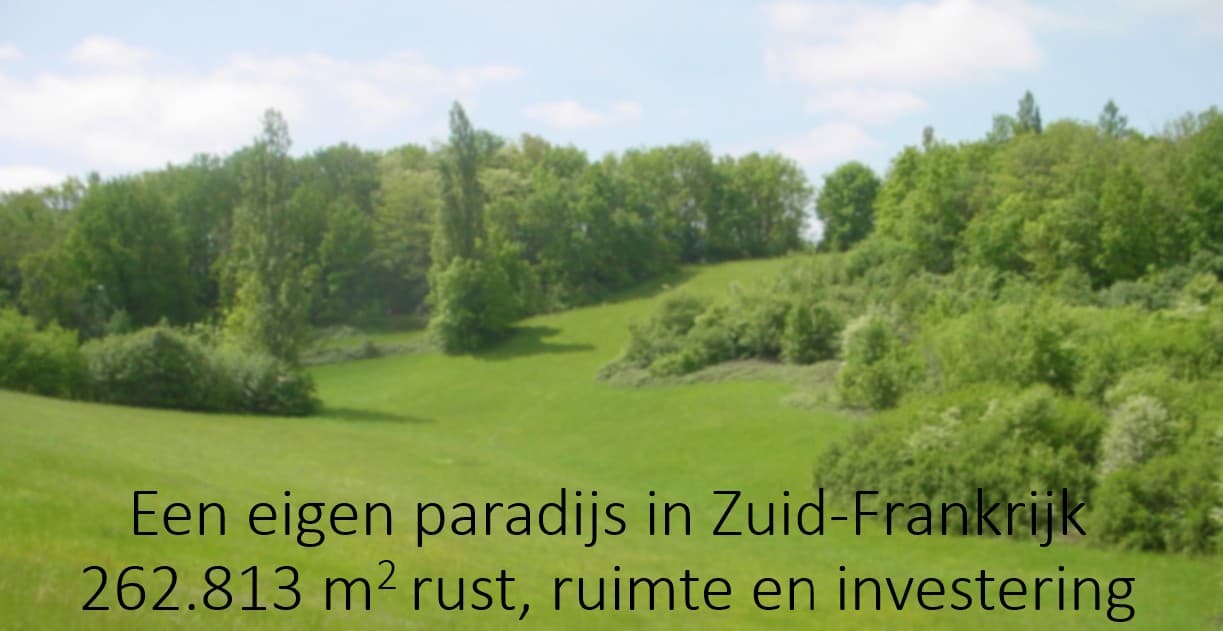 Terres agricoles - 26.3 ha - Durfort-Lacapelette - Image 4