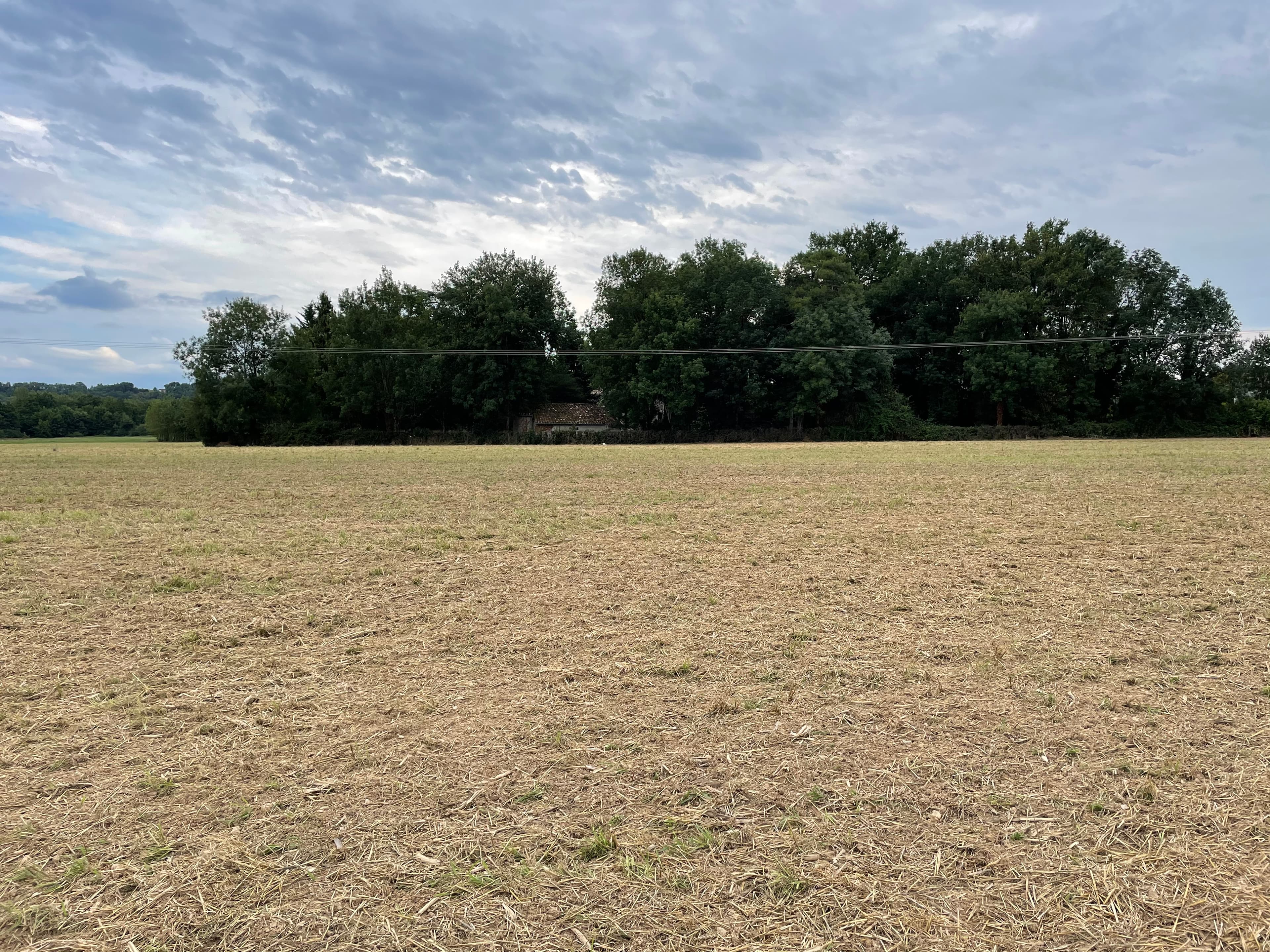 Terres agricoles - 6.7 ha - Réalmont - Image 3