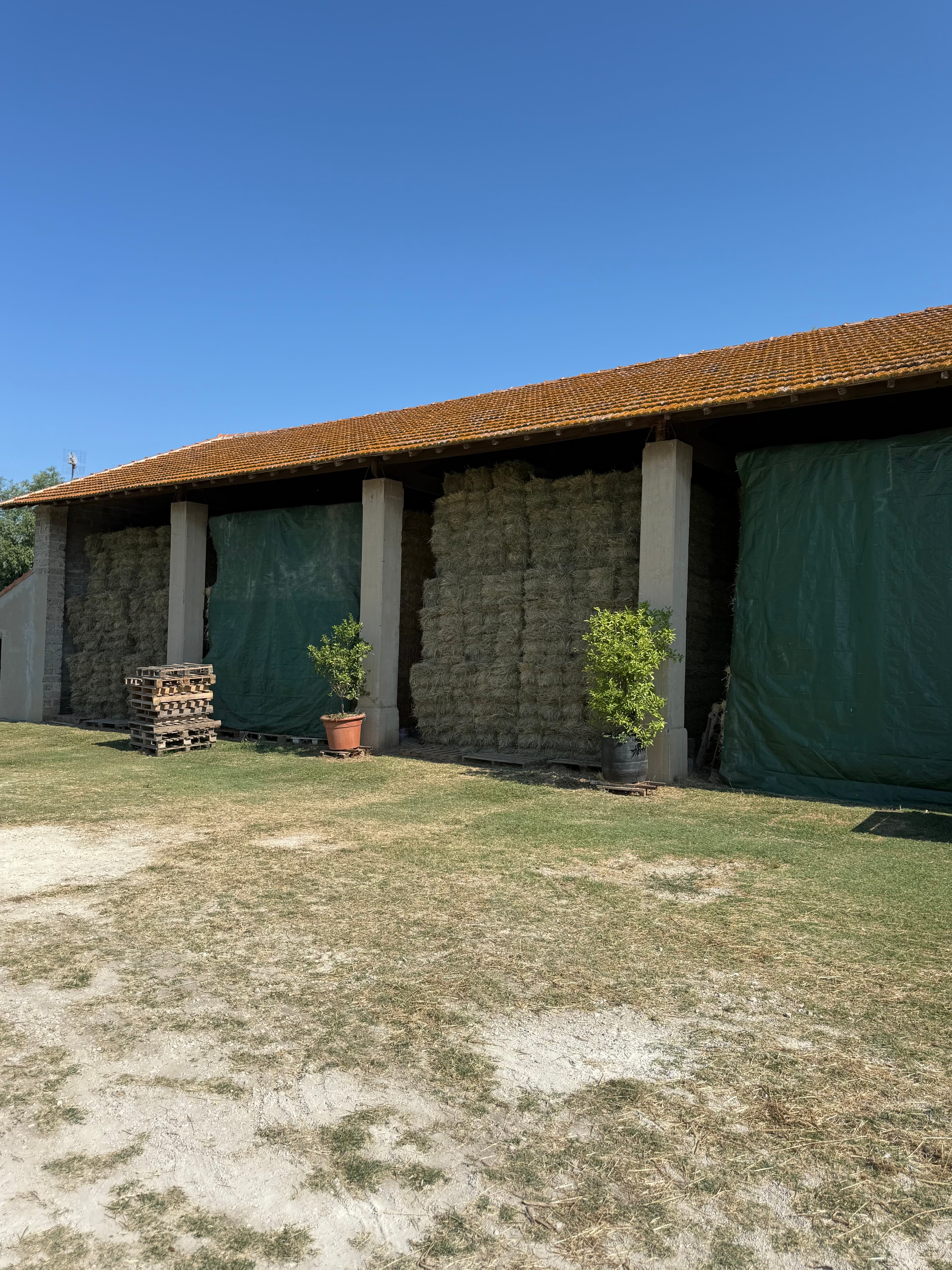 Fourrage et paille - Arles - Image 2