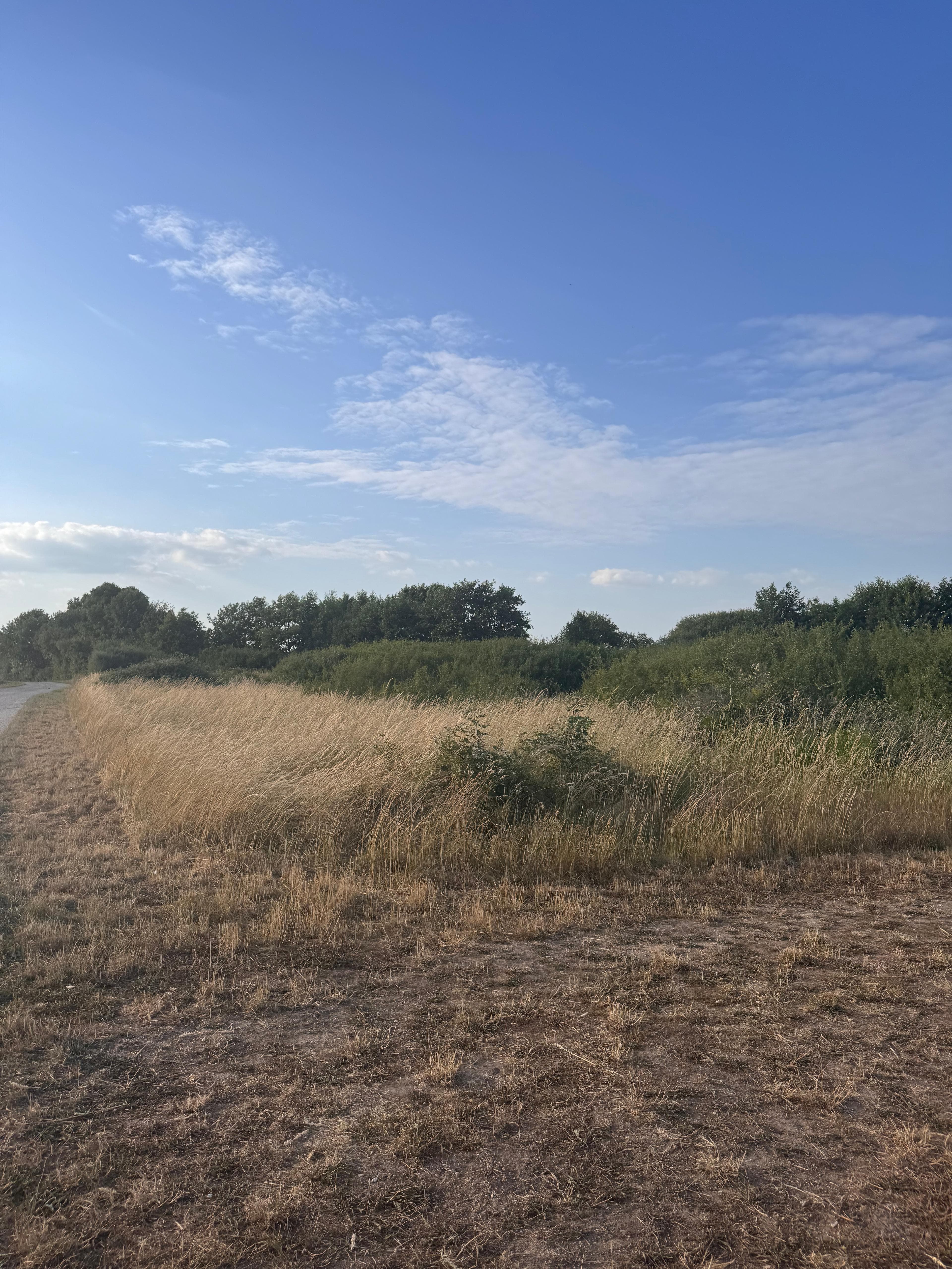 Terres agricoles - 2.1 ha - Bray-Saint-Aignan