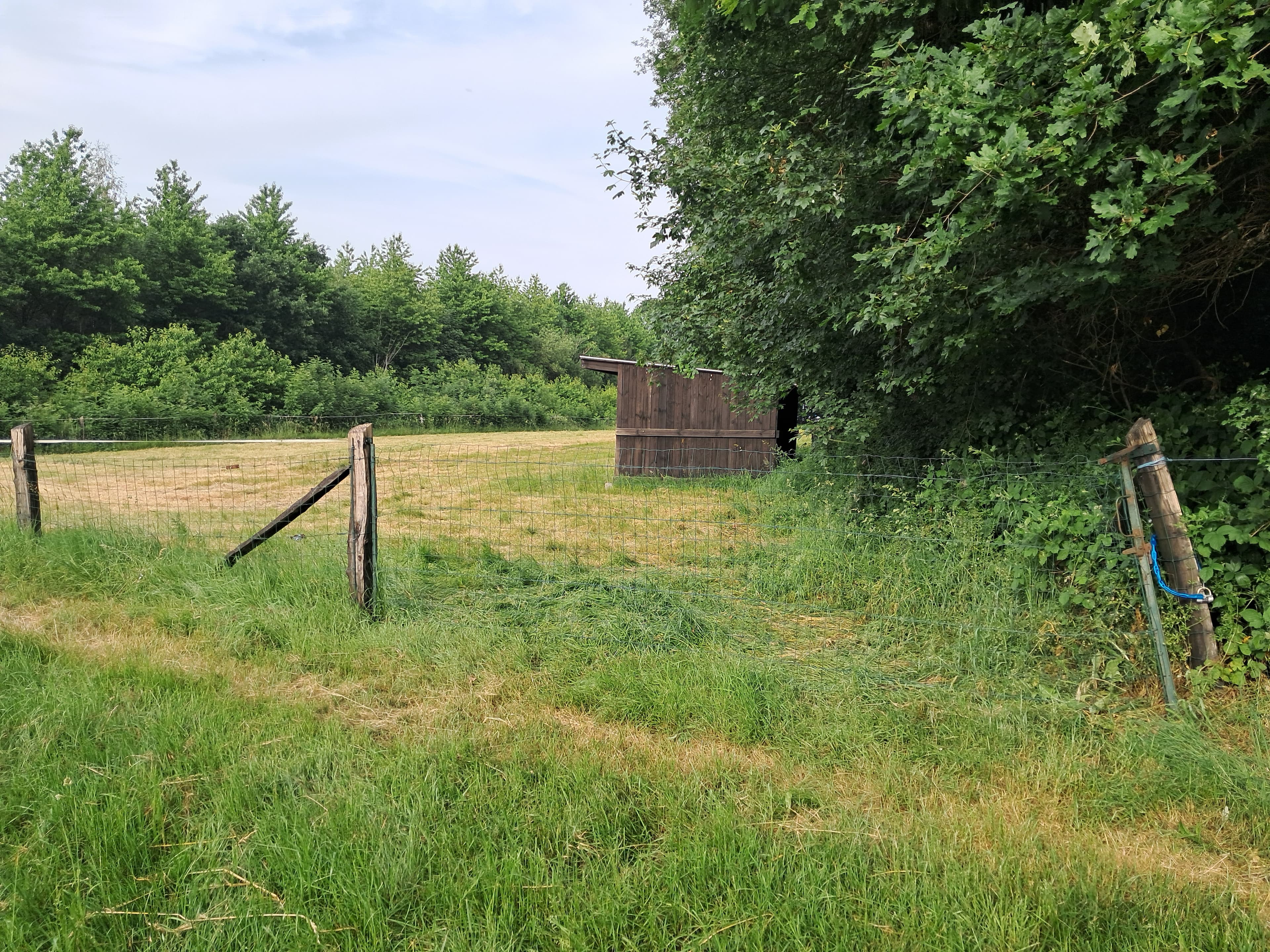 Terres agricoles — Prairies et fourrages - 0.4 ha - Mesnils-sur-Iton - Image 2