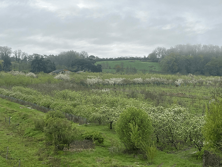 Terres agricoles - 18.2 ha - 47360