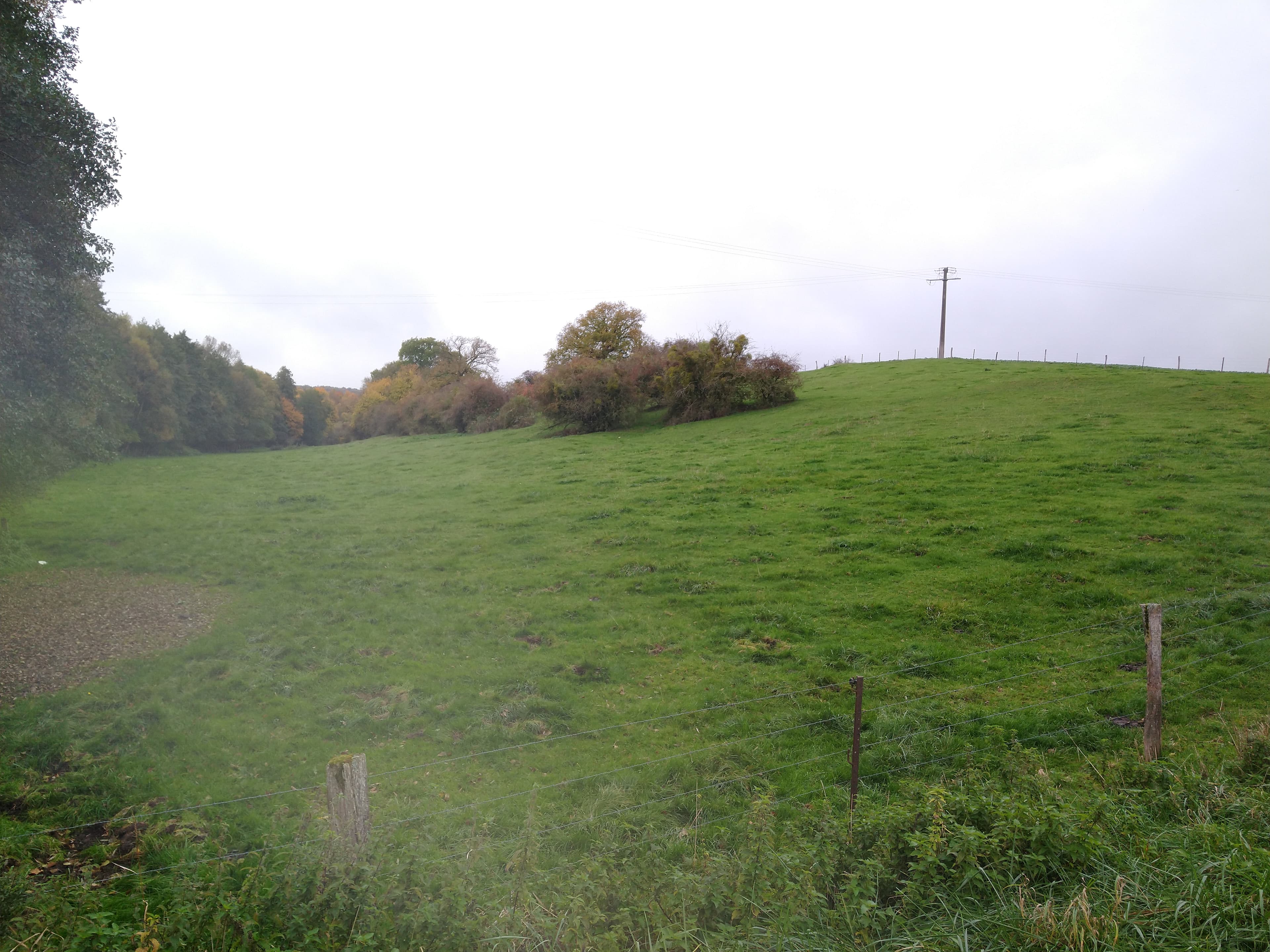 Terres agricoles - 20.6 ha - Chatel-Chéhéry - Image 4