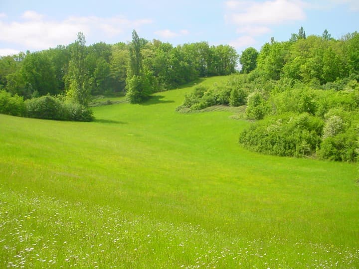 Terres agricoles - 26.3 ha - Durfort-Lacapelette - Image 3