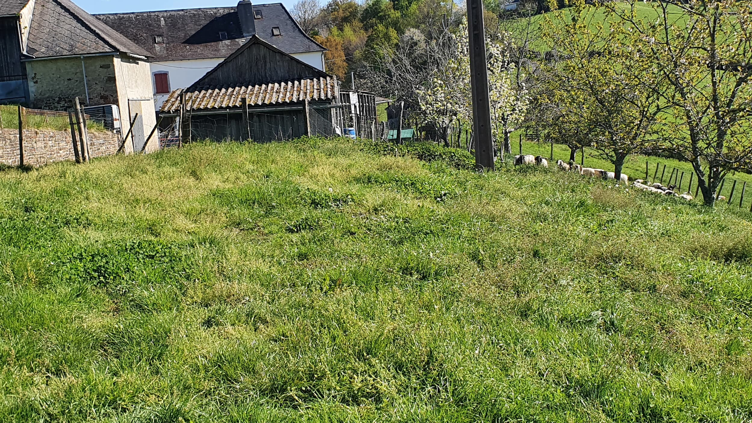 Prairies d'élevage - 22.6 ha - Esquiule - Image 3