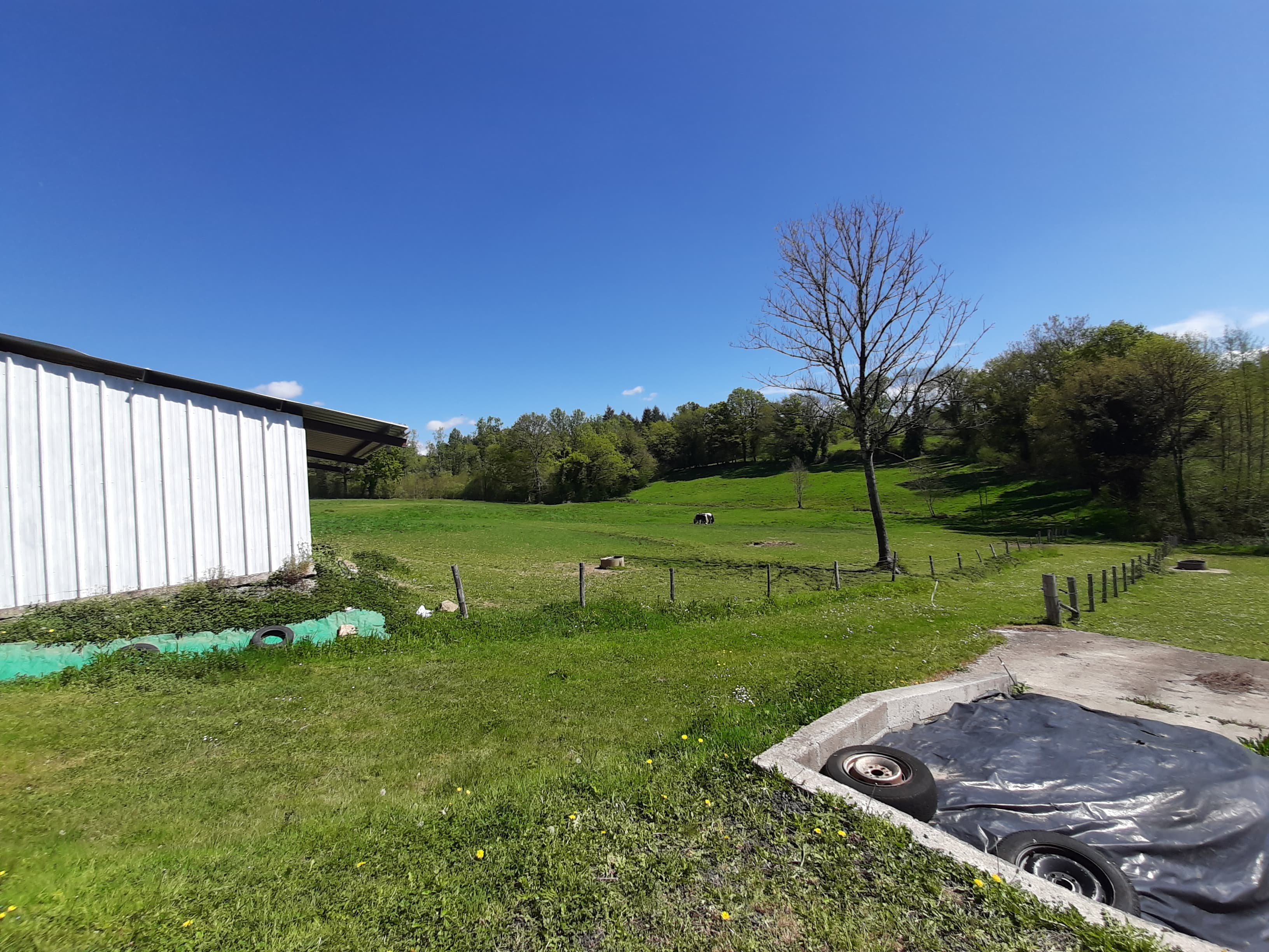 Terres agricoles — Equins - 6.3 ha - Chaillac-sur-Vienne - Image 5