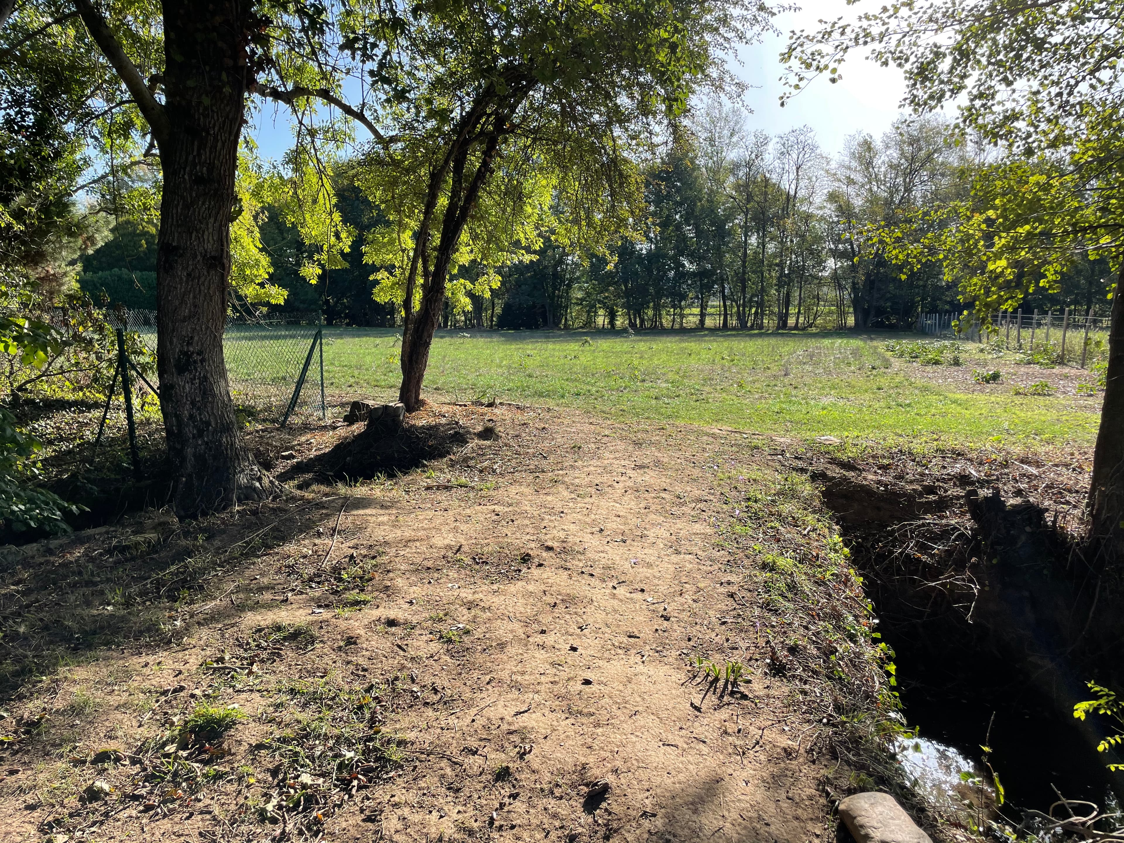 Terres agricoles - 6.7 ha - Réalmont - Image 7