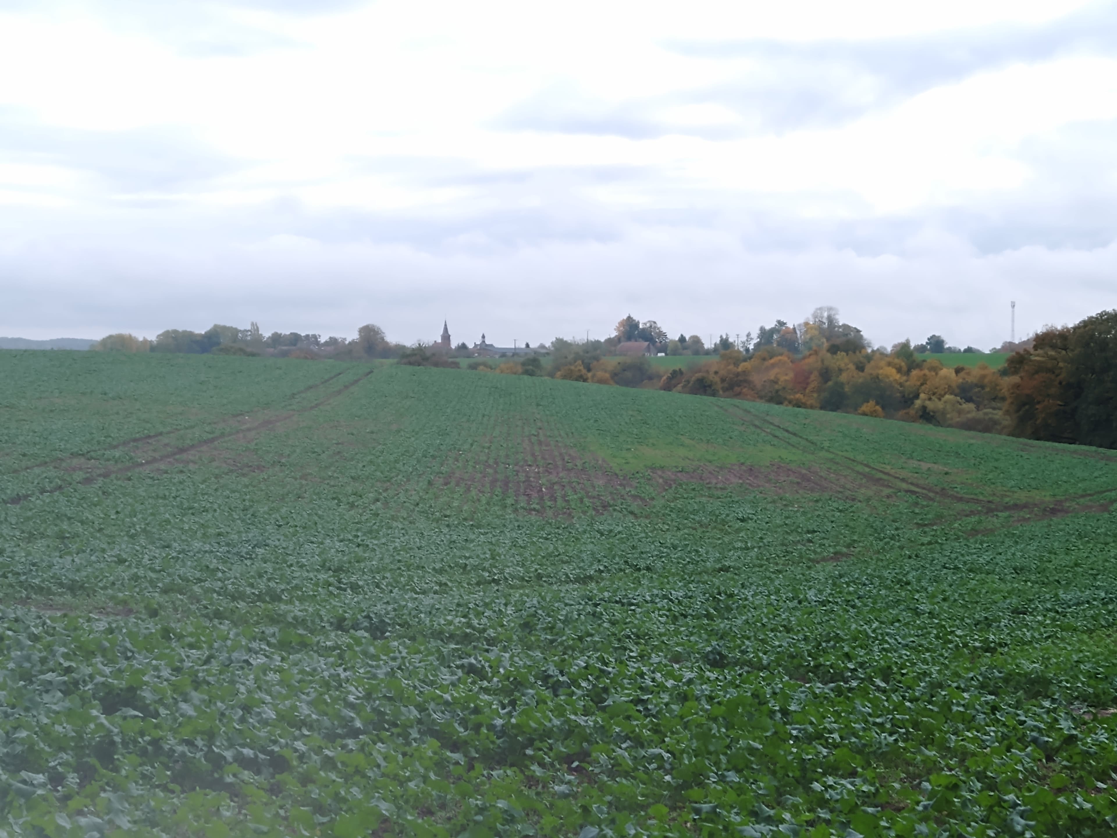 Terres agricoles - 20.6 ha - Chatel-Chéhéry - Image 2