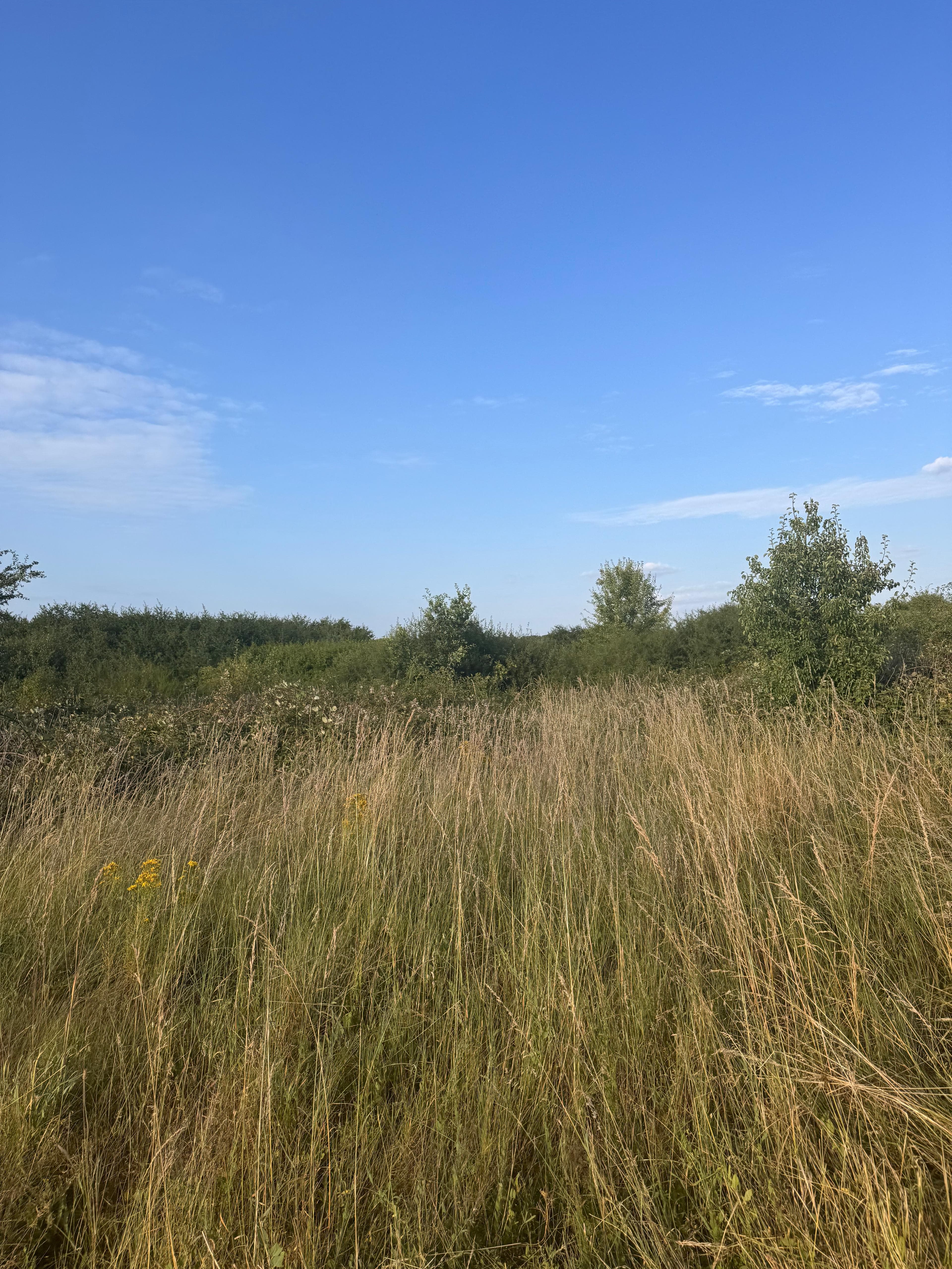 Terres agricoles - 2.1 ha - Bray-Saint-Aignan - Image 2