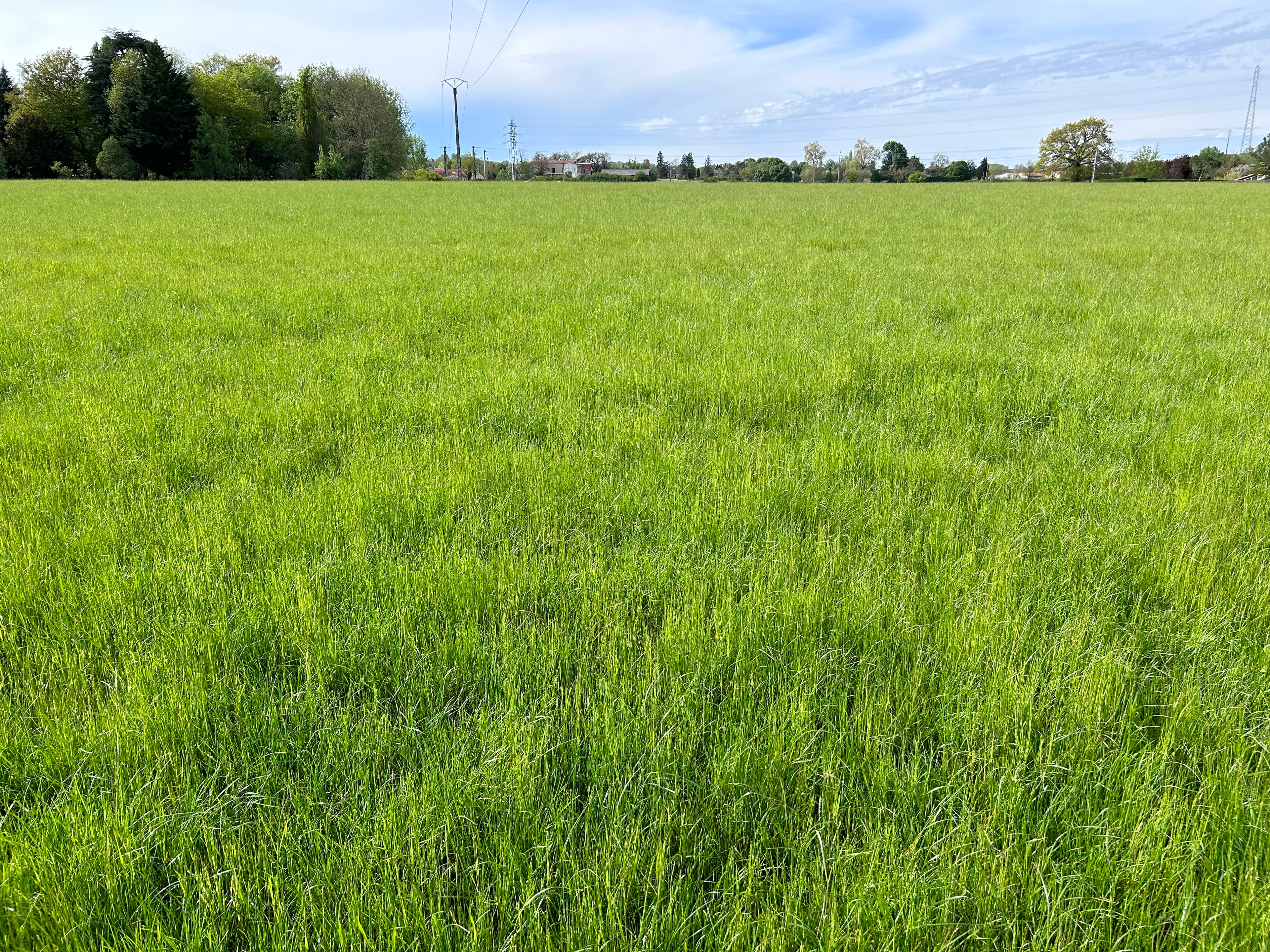 Terres agricoles - 6.7 ha - Réalmont - Image 9