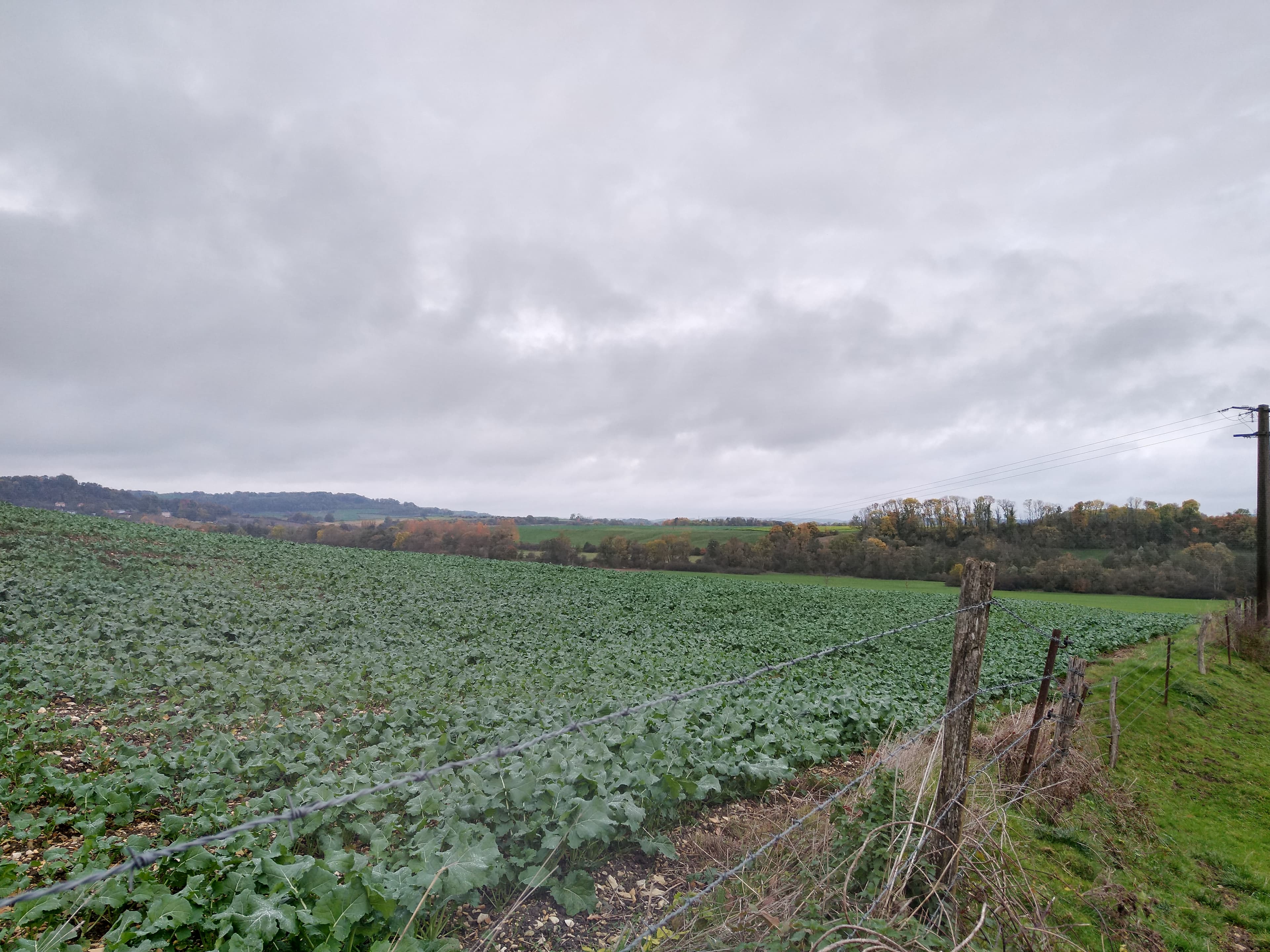 Terres agricoles - 20.6 ha - Chatel-Chéhéry