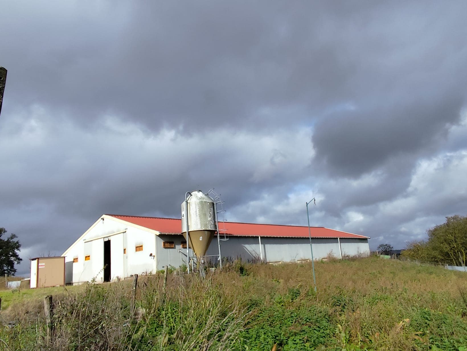 Terres agricoles - 20.0 ha - Busserolles - Image 3