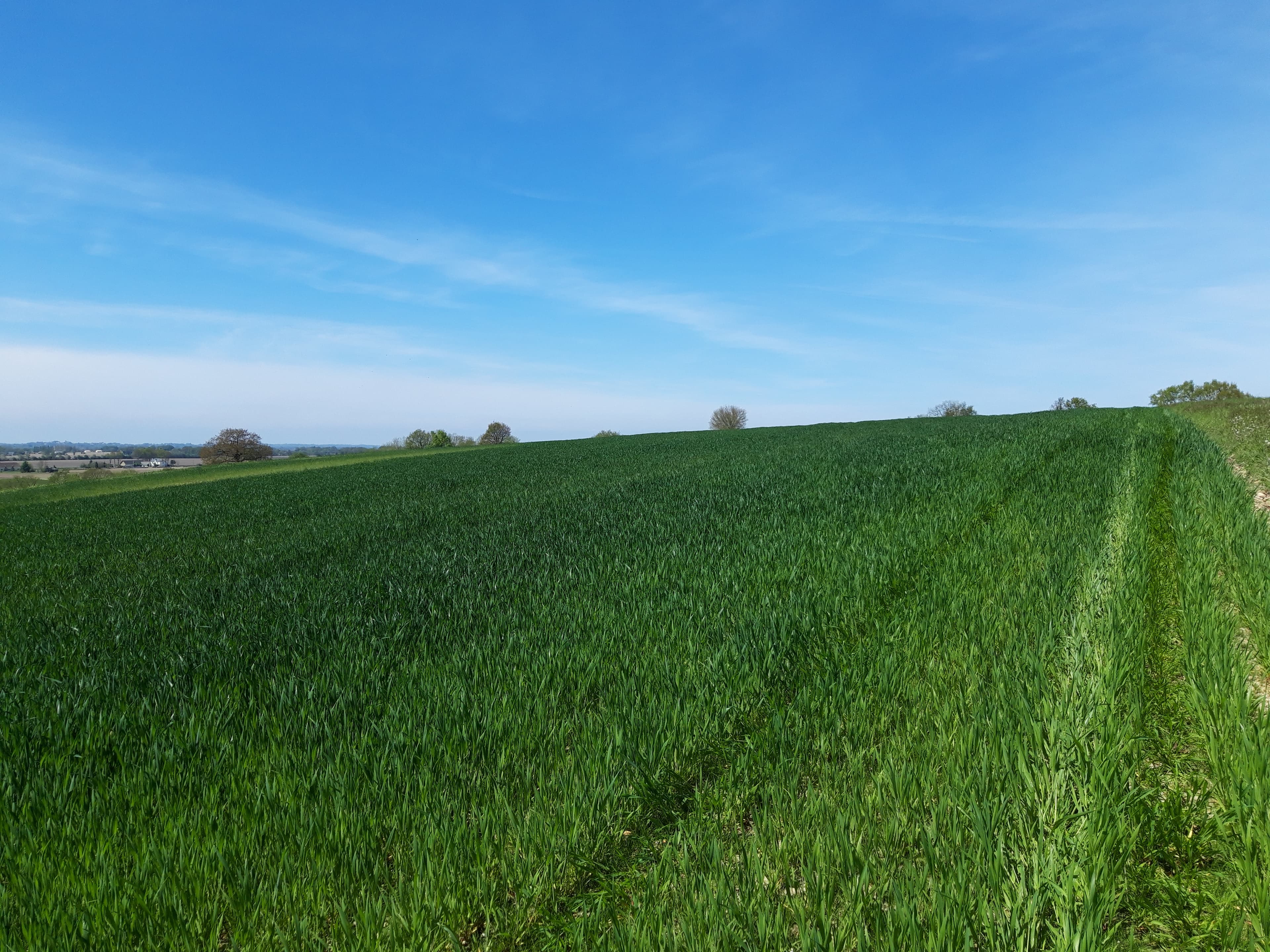 Terres de polyculture-élevage - 14.9 ha - Coslédaà-Lube-Boast