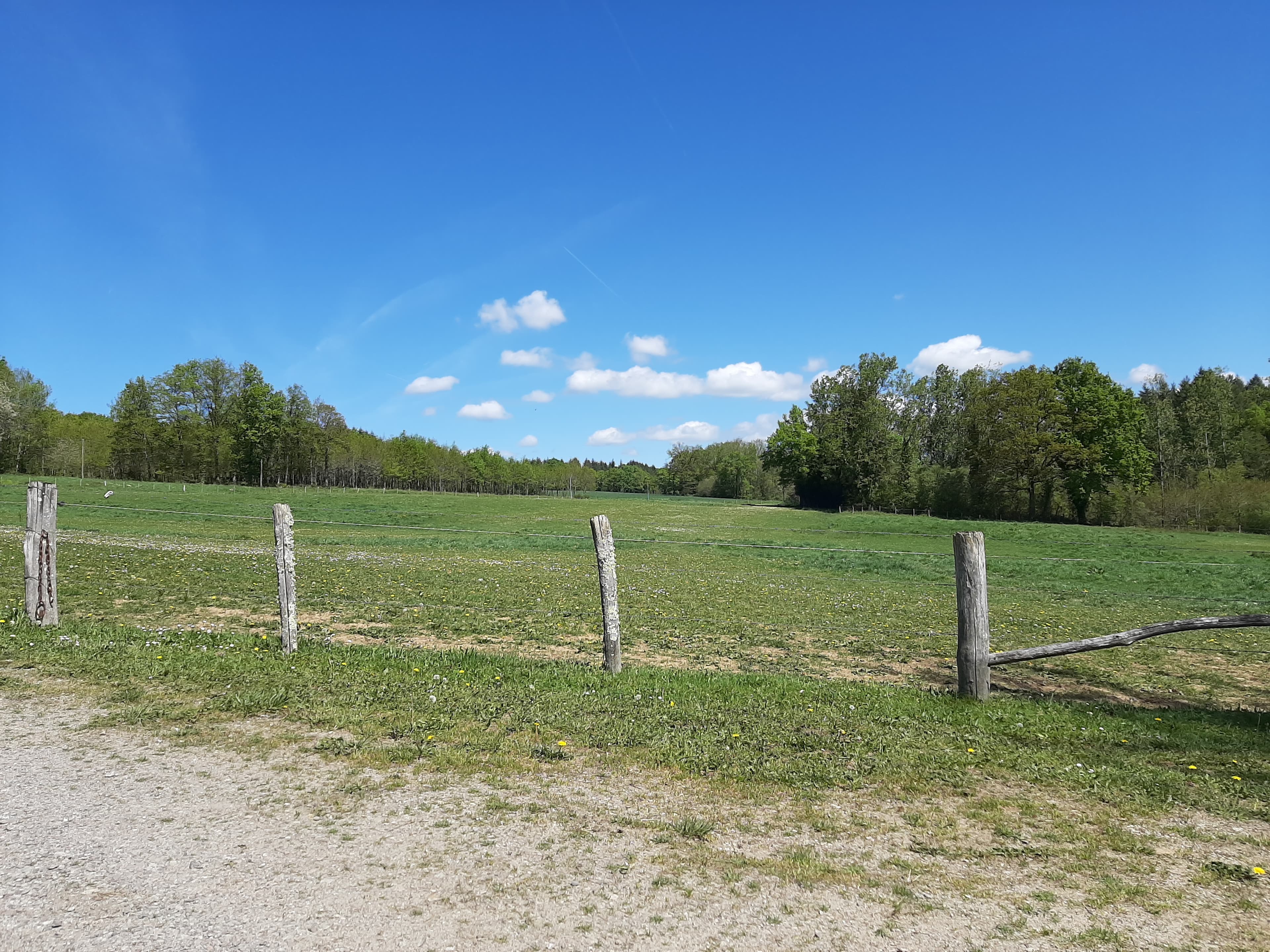Terres agricoles — Equins - 6.3 ha - Chaillac-sur-Vienne - Image 3