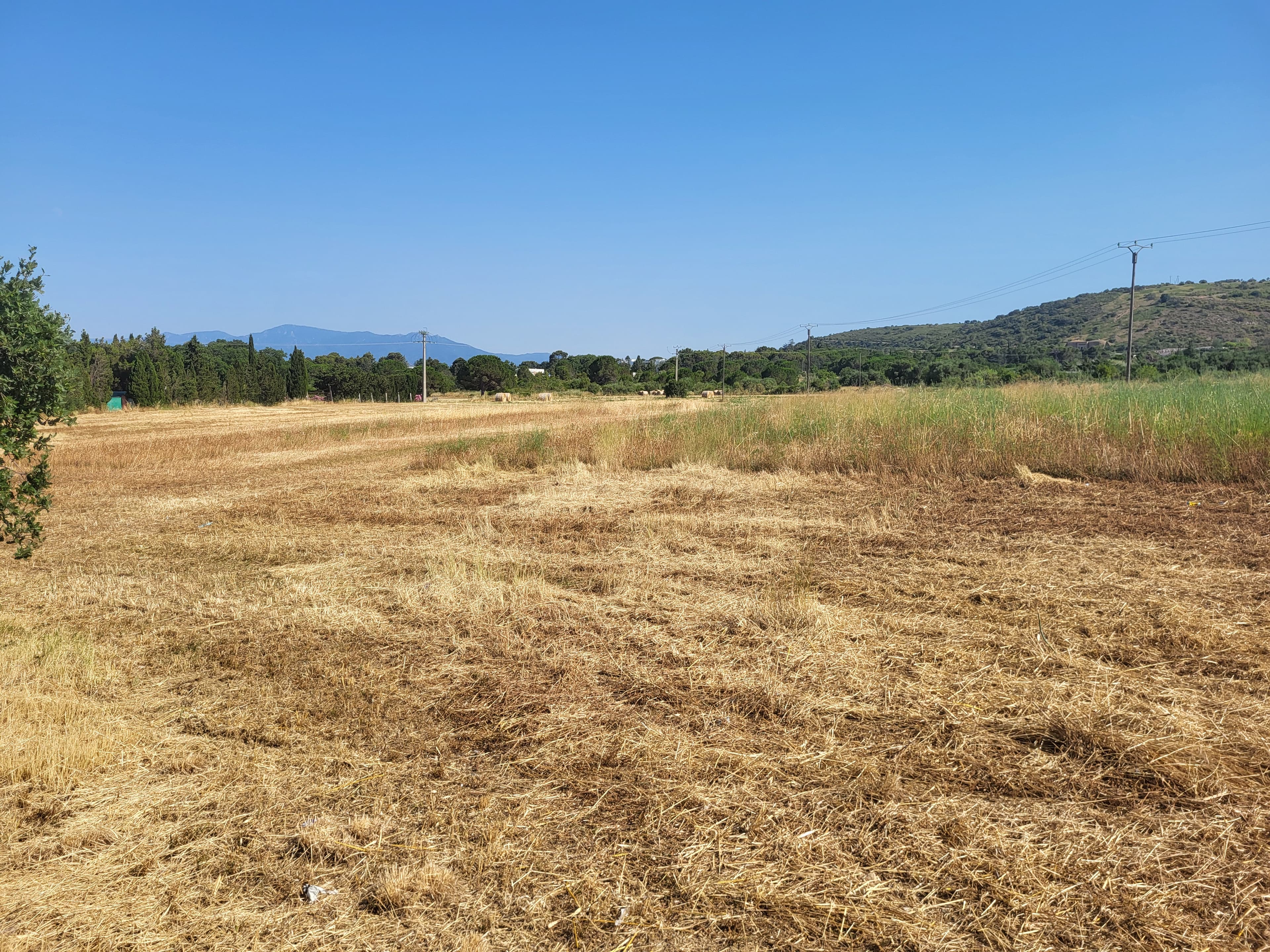 Terres agricoles - 3.8 ha - Thuir