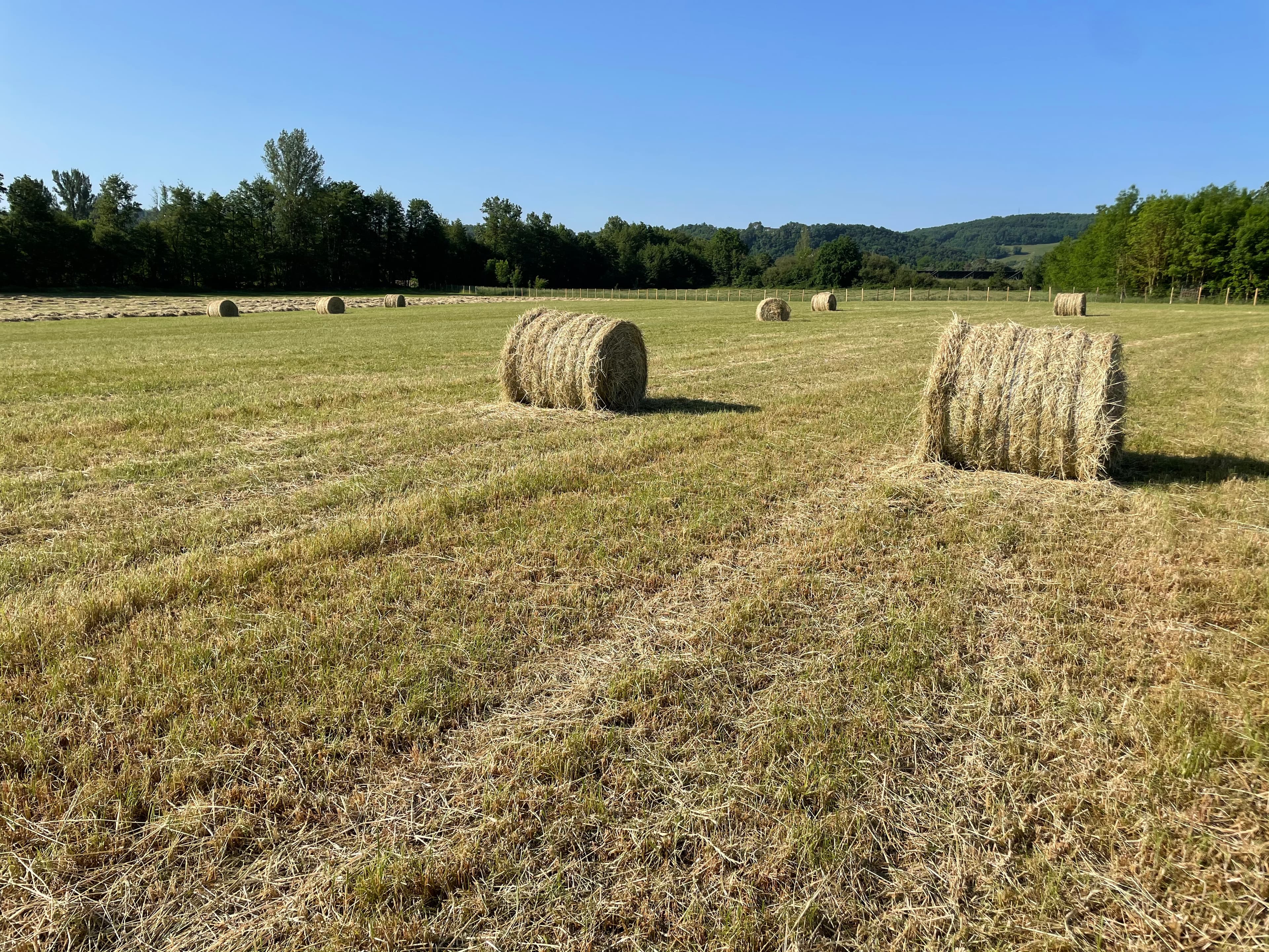 Terres agricoles - 6.7 ha - Réalmont - Image 5