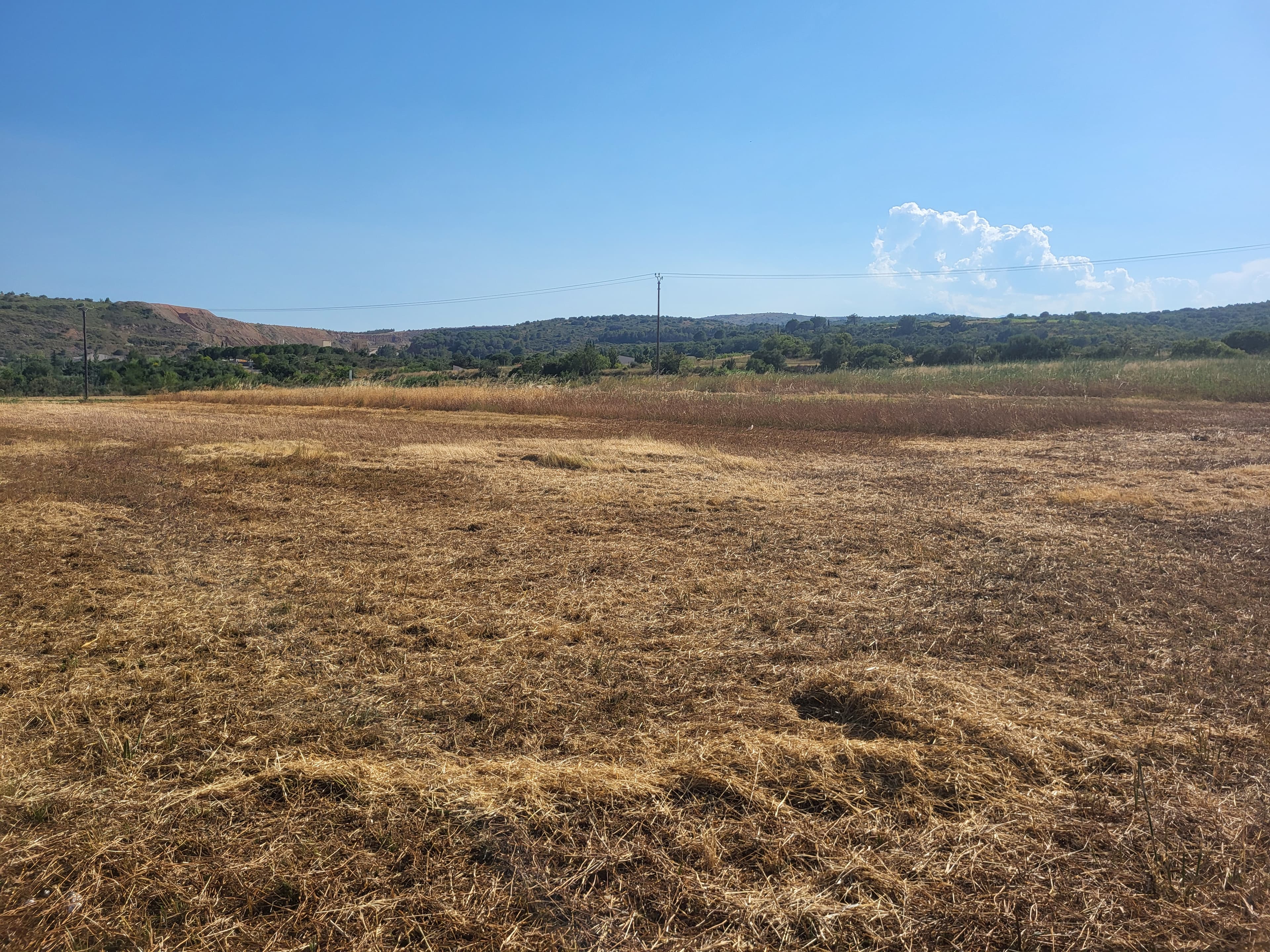 Terres agricoles - 3.8 ha - Thuir - Image 6
