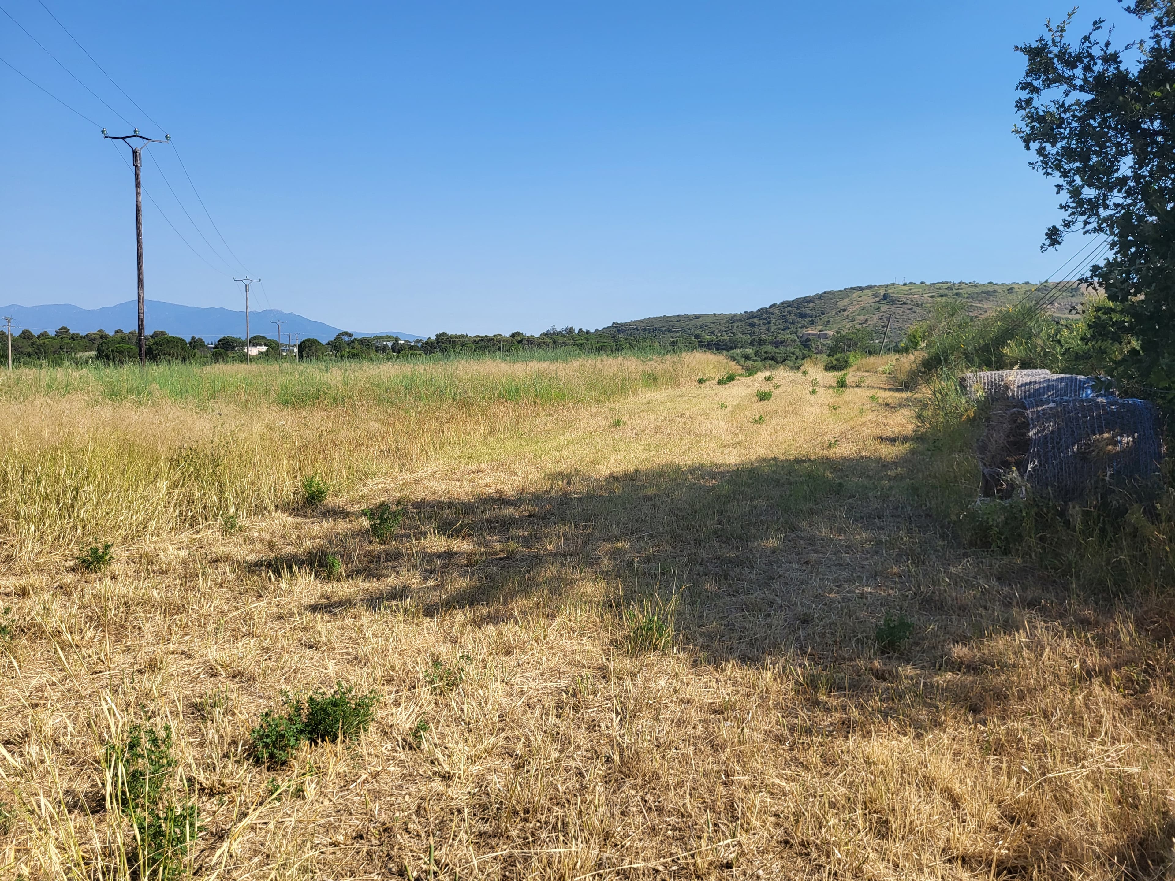 Terres agricoles - 3.8 ha - Thuir - Image 2